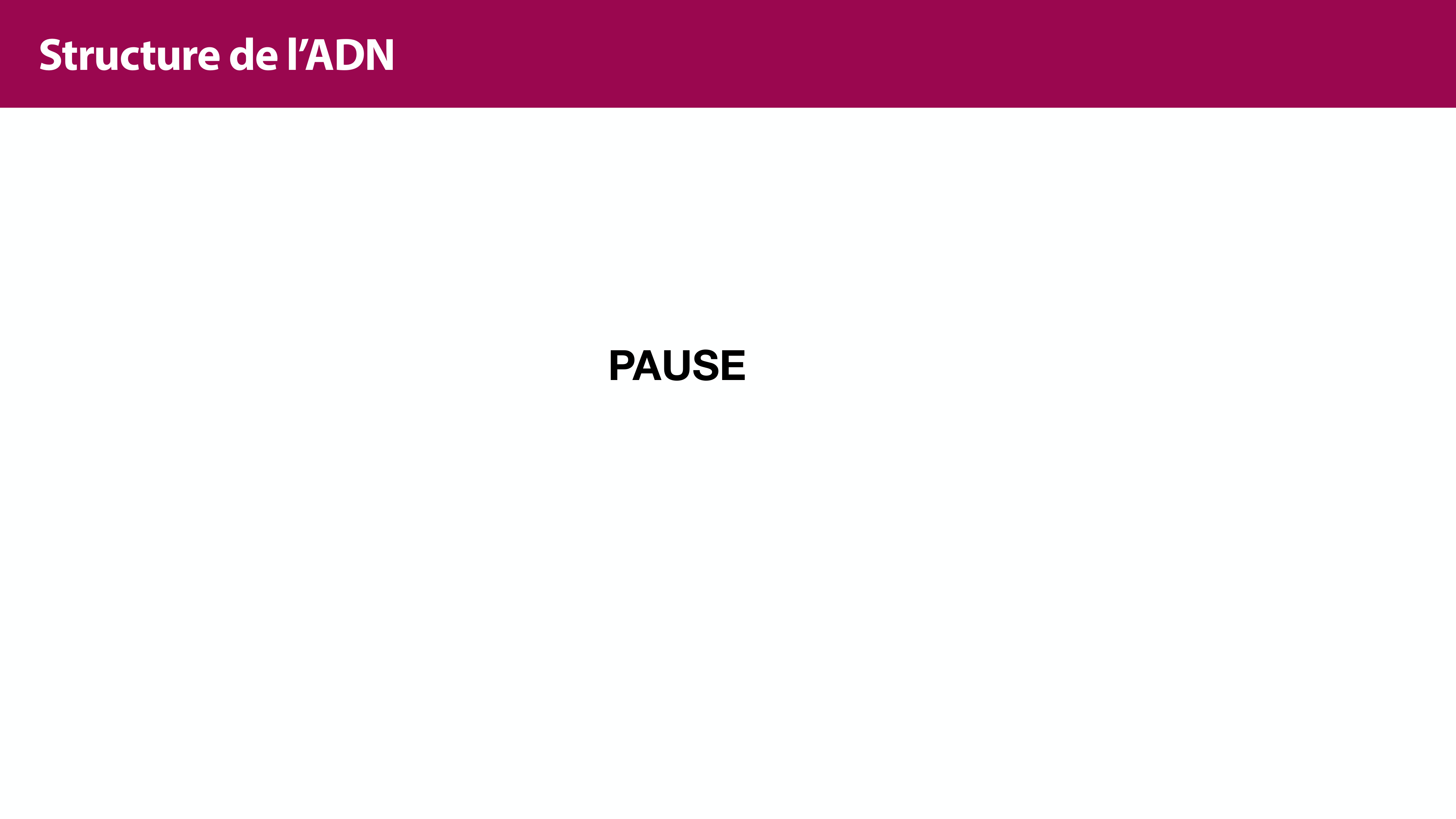 Structure de l'ADN page 27