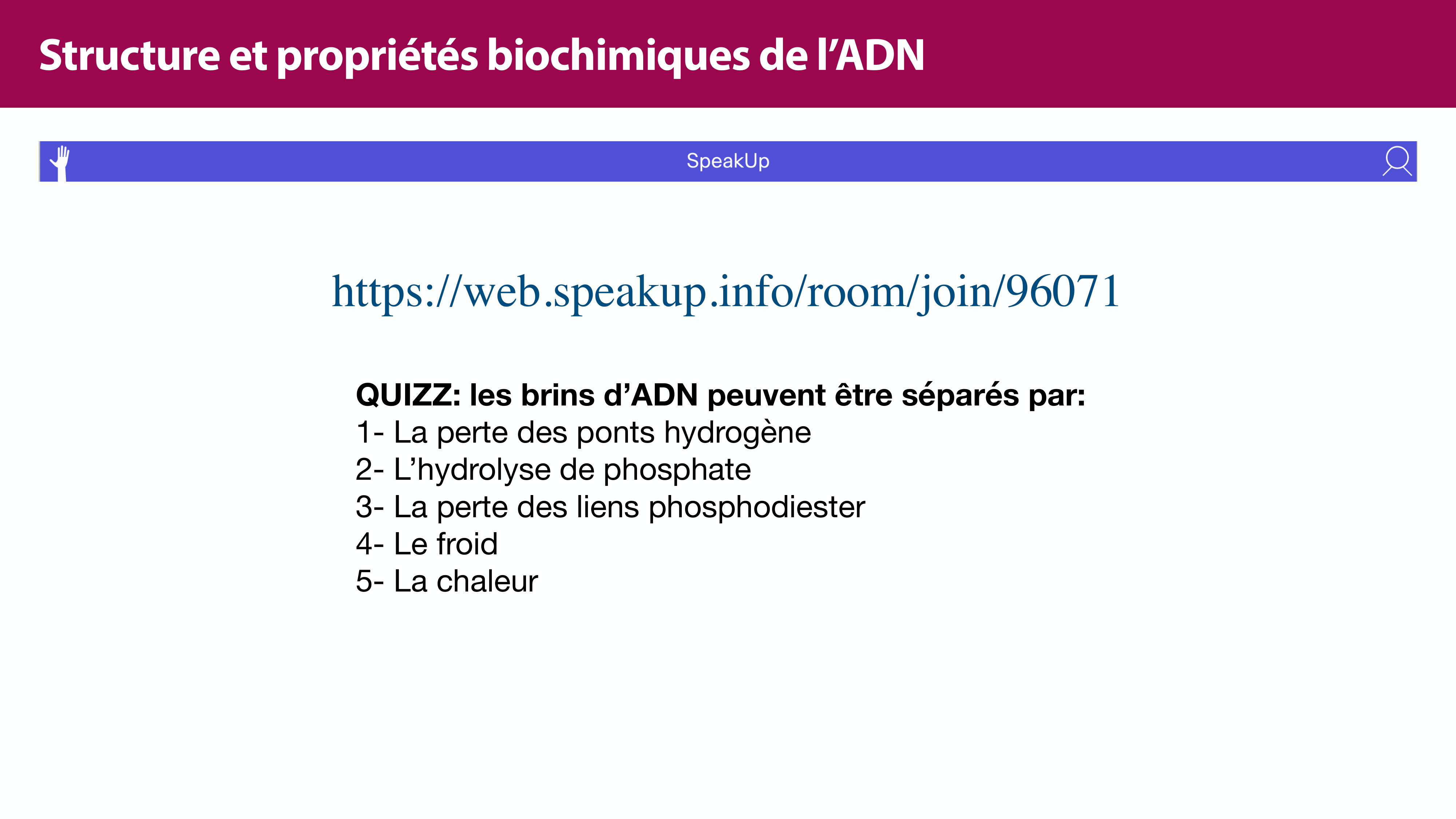Structure de l'ADN page 31
