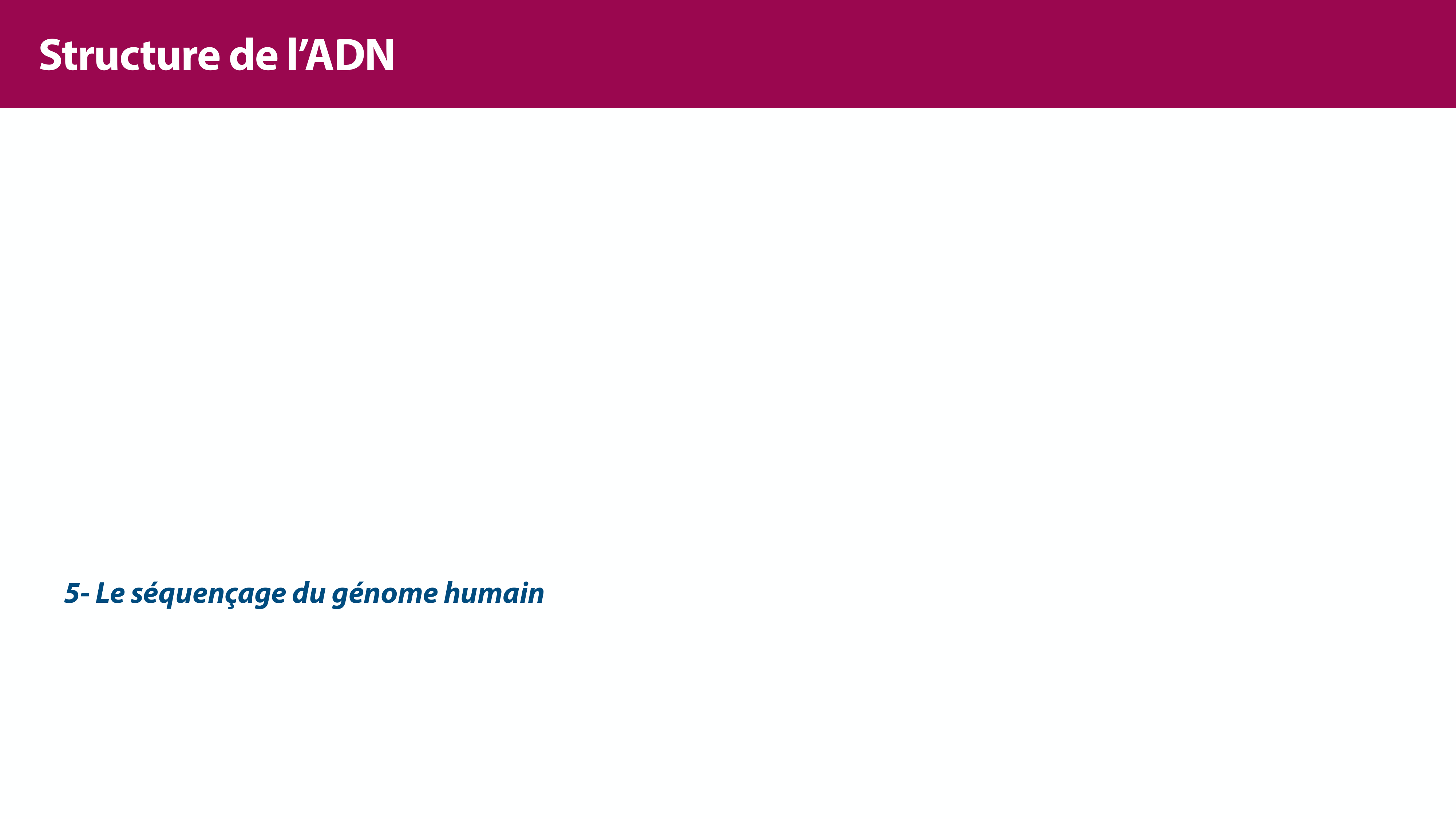 Structure de l'ADN page 43