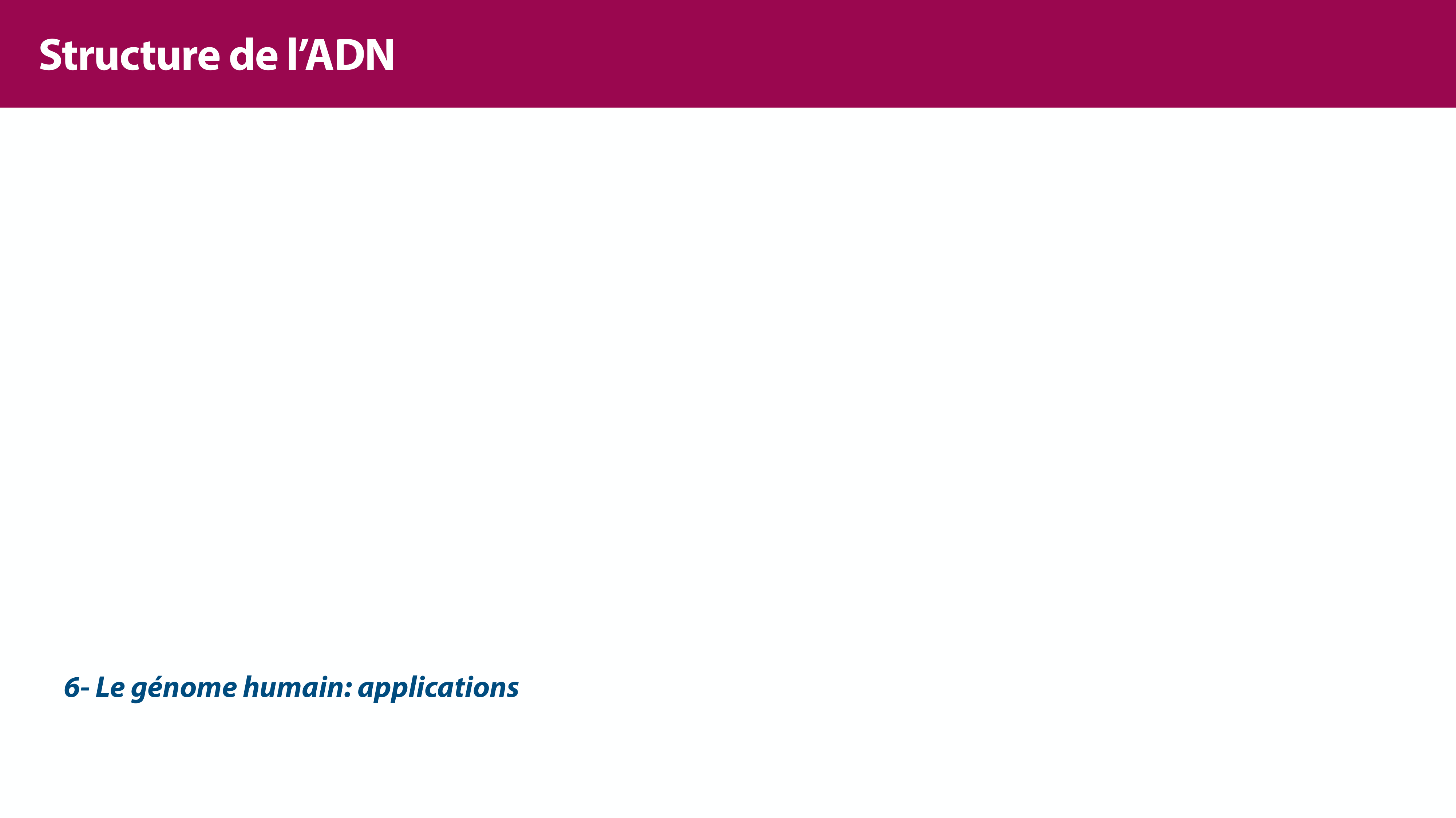 Structure de l'ADN page 49