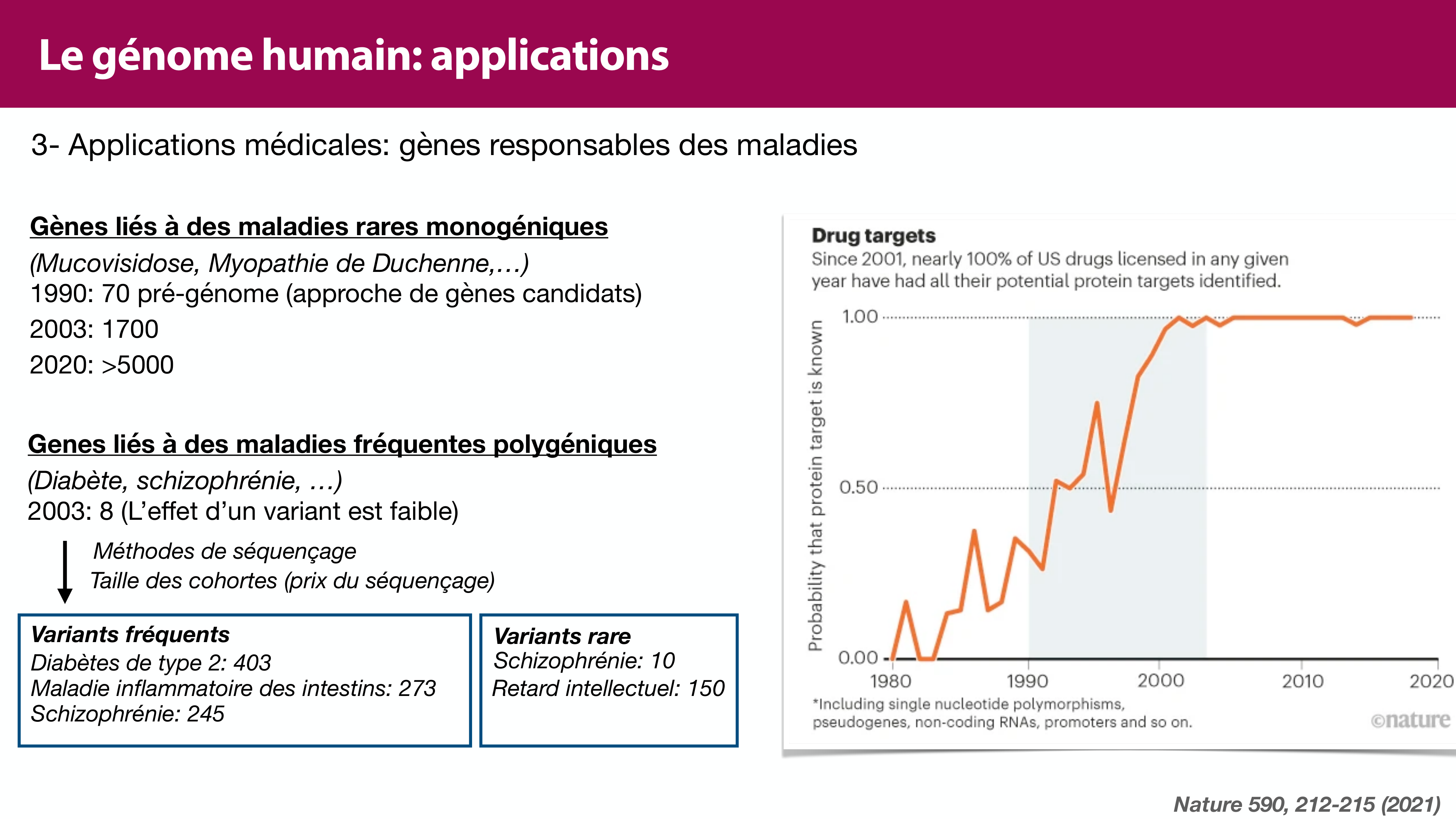 Structure de l'ADN page 50