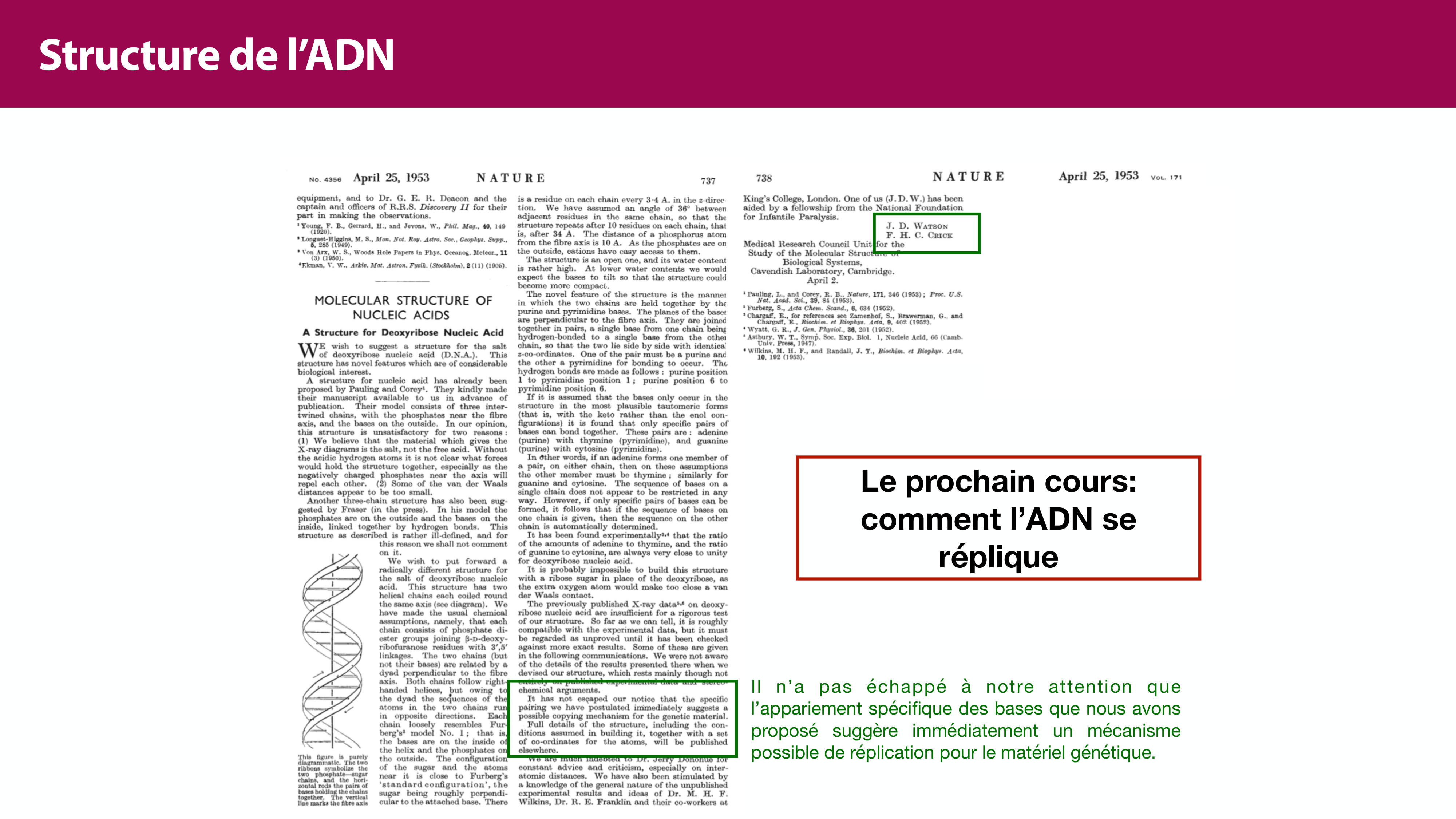 Structure de l'ADN page 52