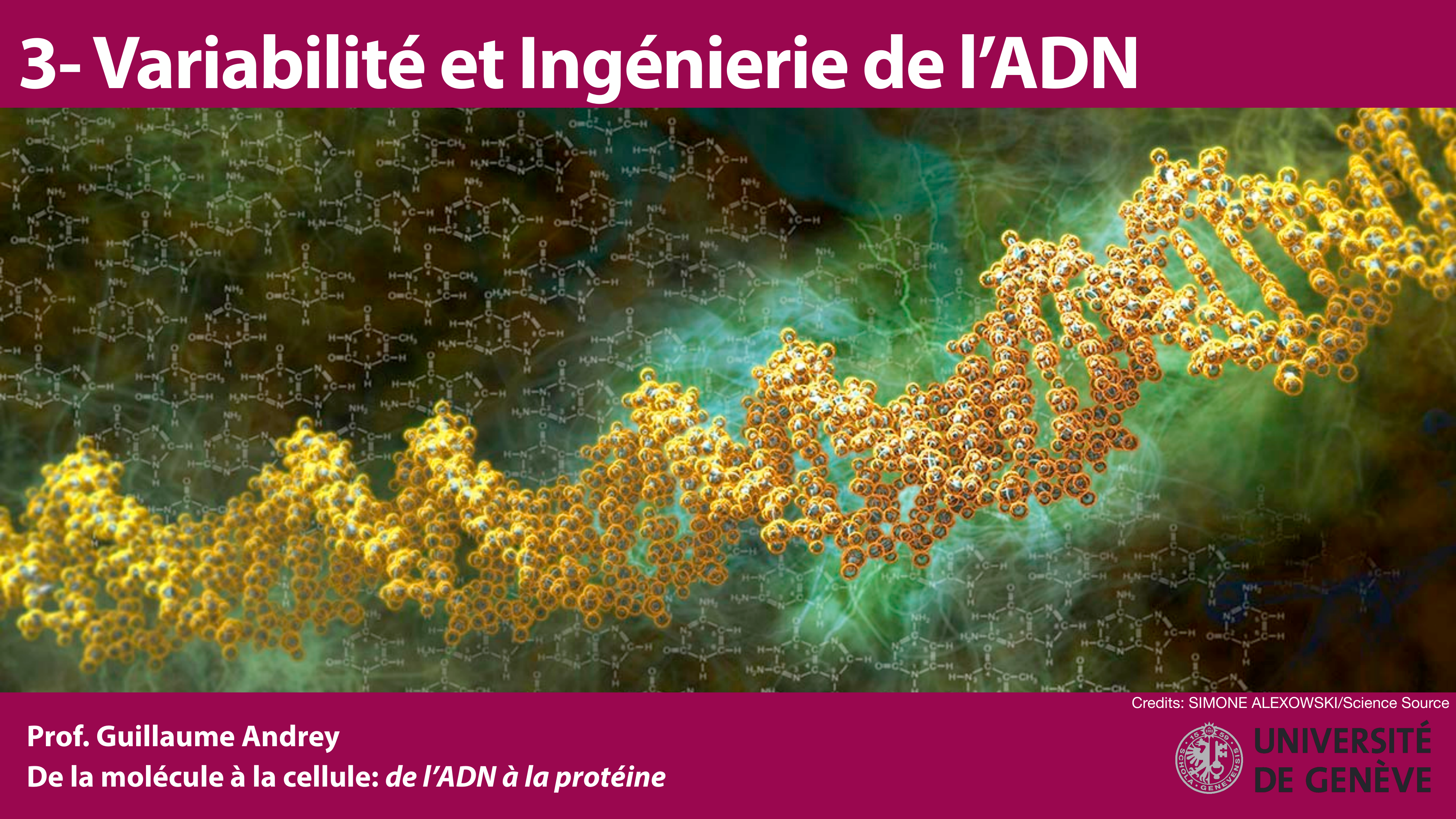 Variations de l'ADN et ingénierie génétique page 1