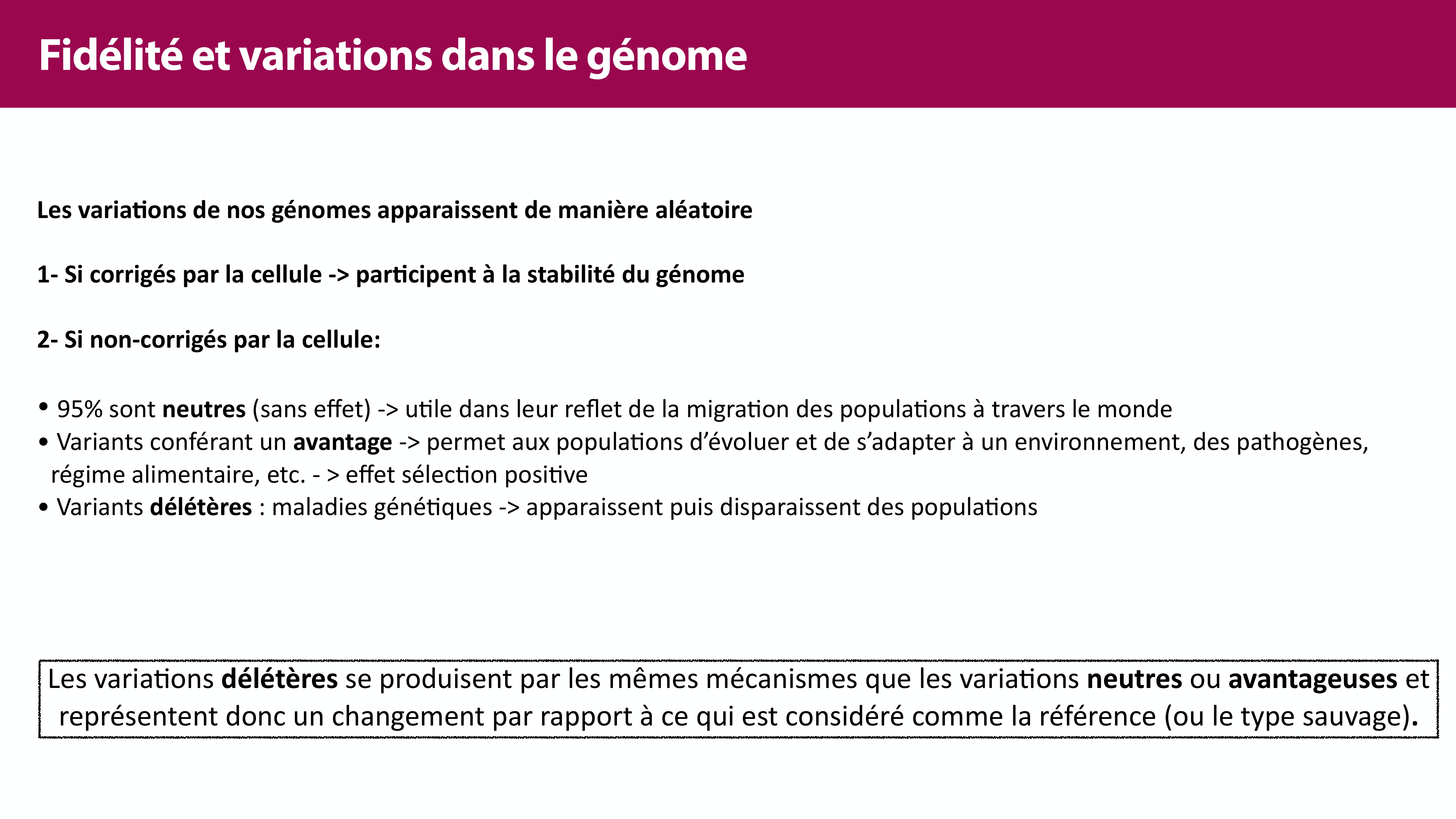 Variations de l'ADN et ingénierie génétique page 5