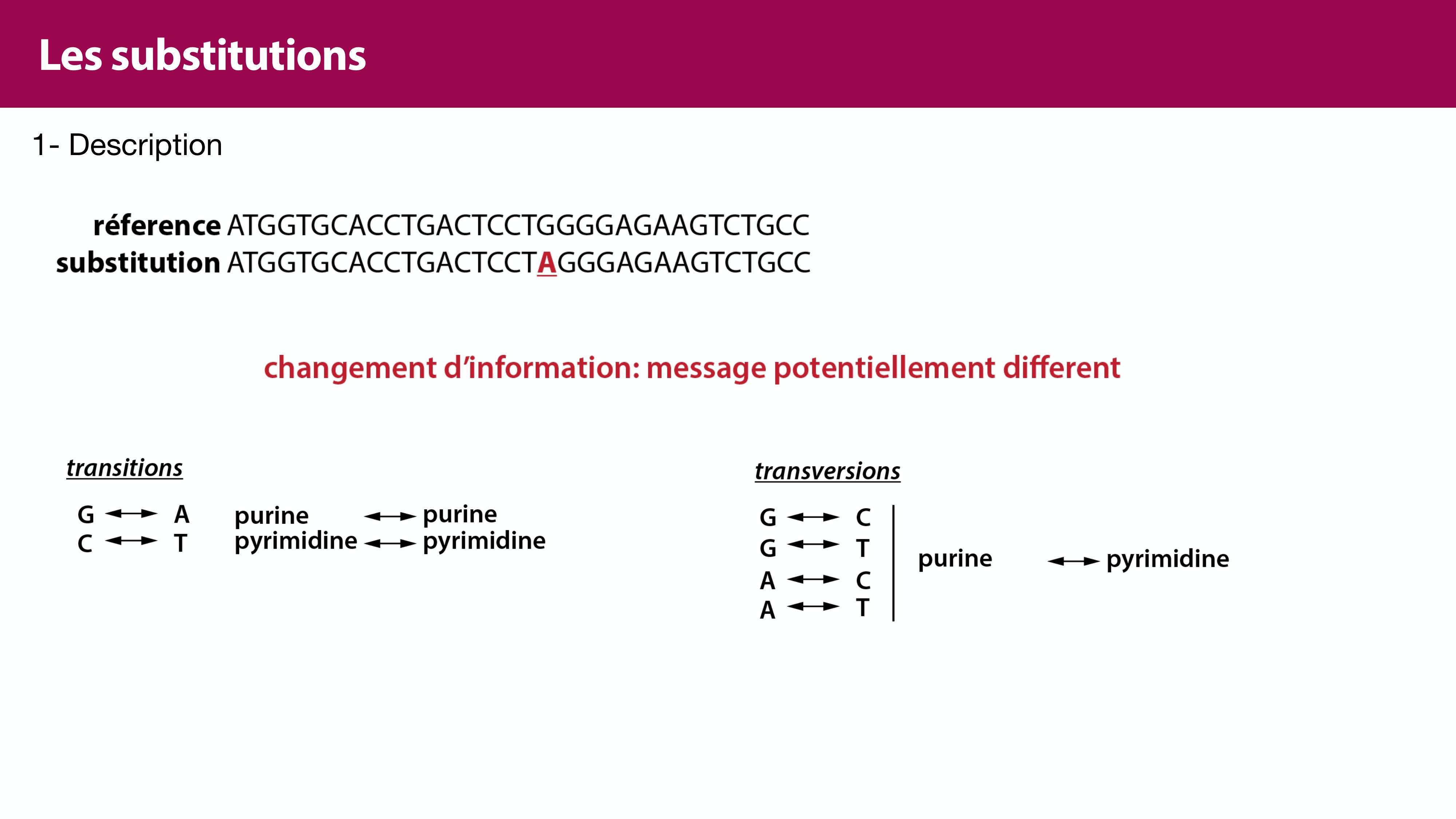 Variations de l'ADN et ingénierie génétique page 7