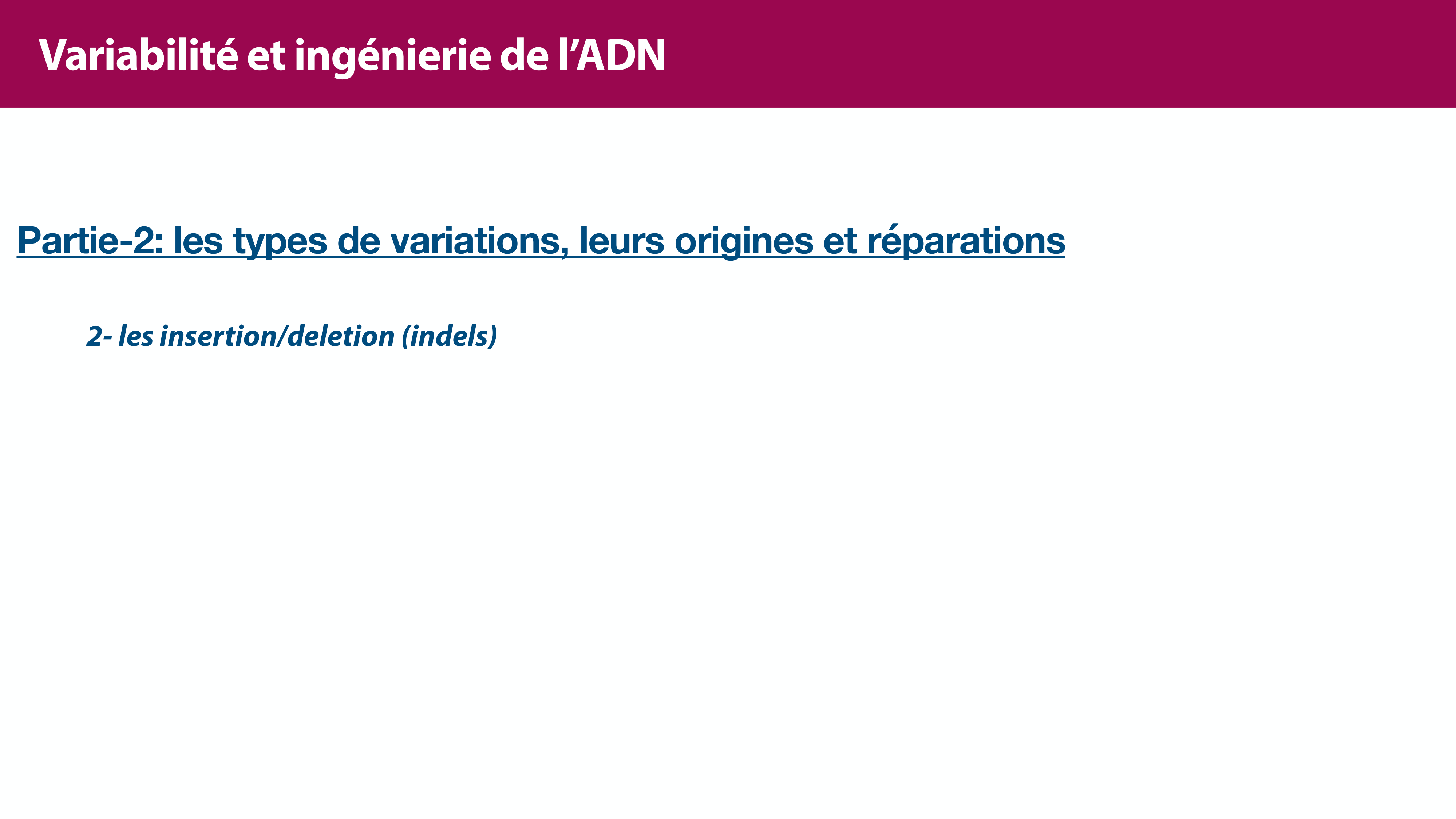 Variations de l'ADN et ingénierie génétique page 13
