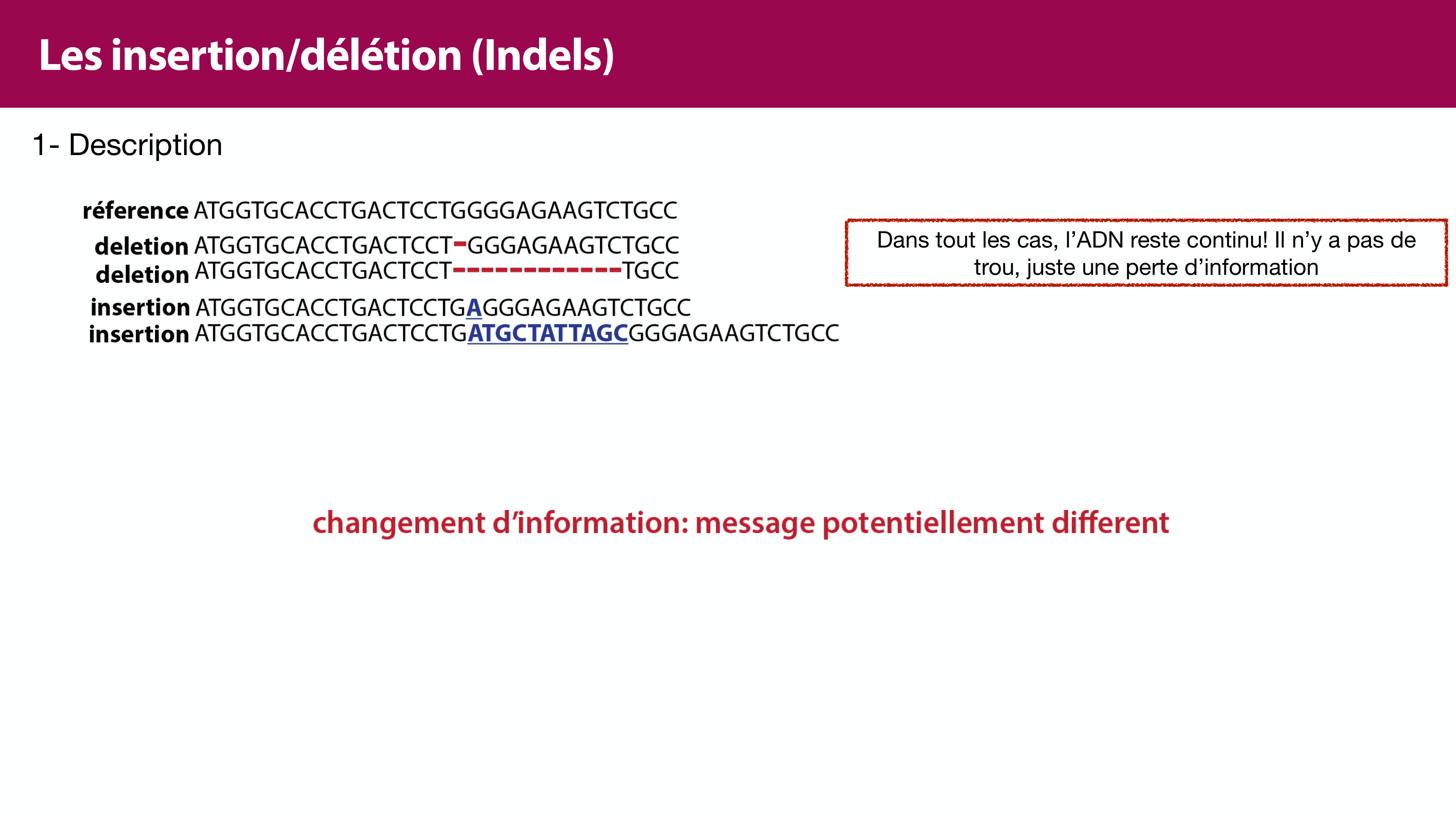 Variations de l'ADN et ingénierie génétique page 14