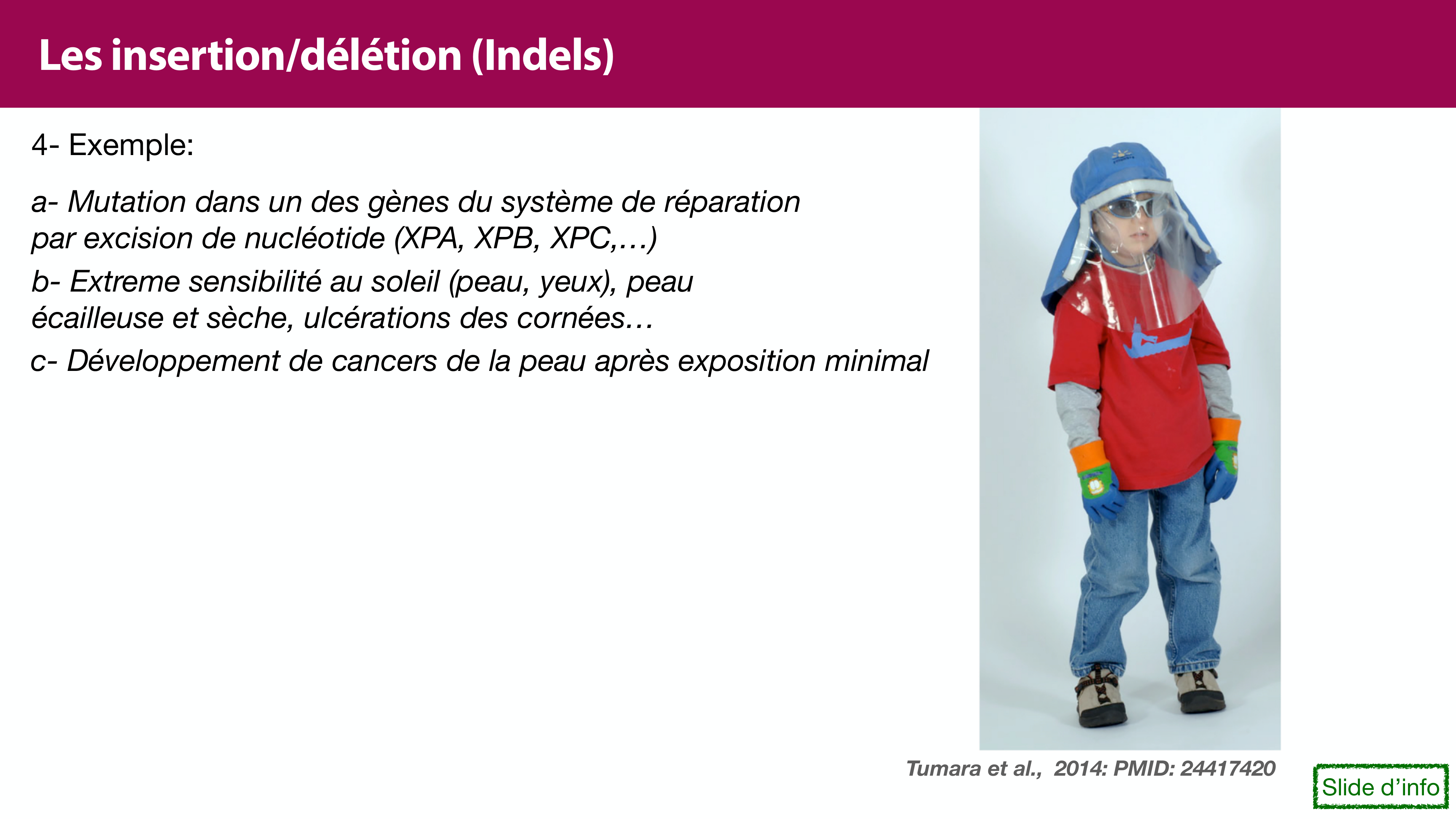 Variations de l'ADN et ingénierie génétique page 18