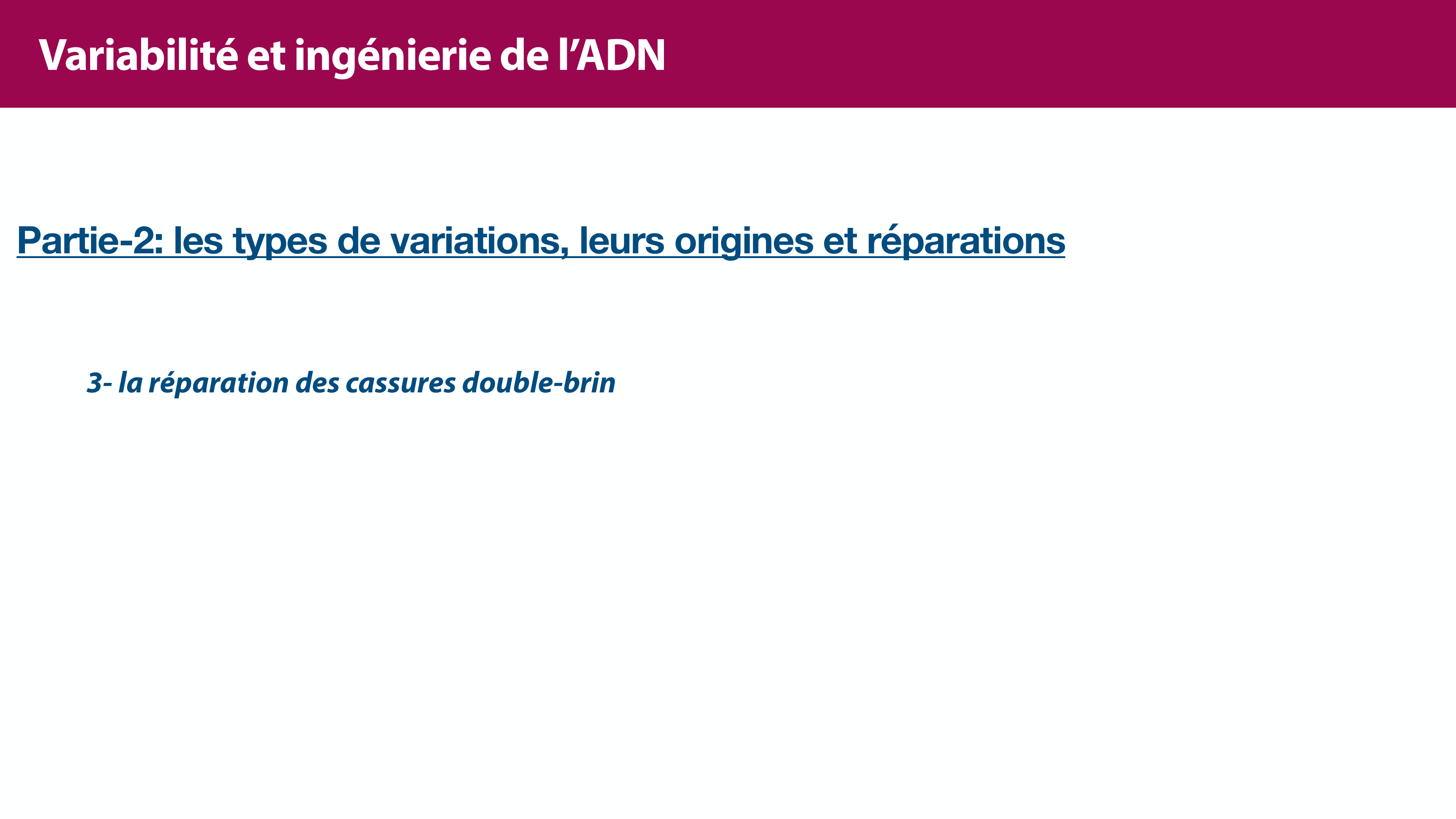 Variations de l'ADN et ingénierie génétique page 19
