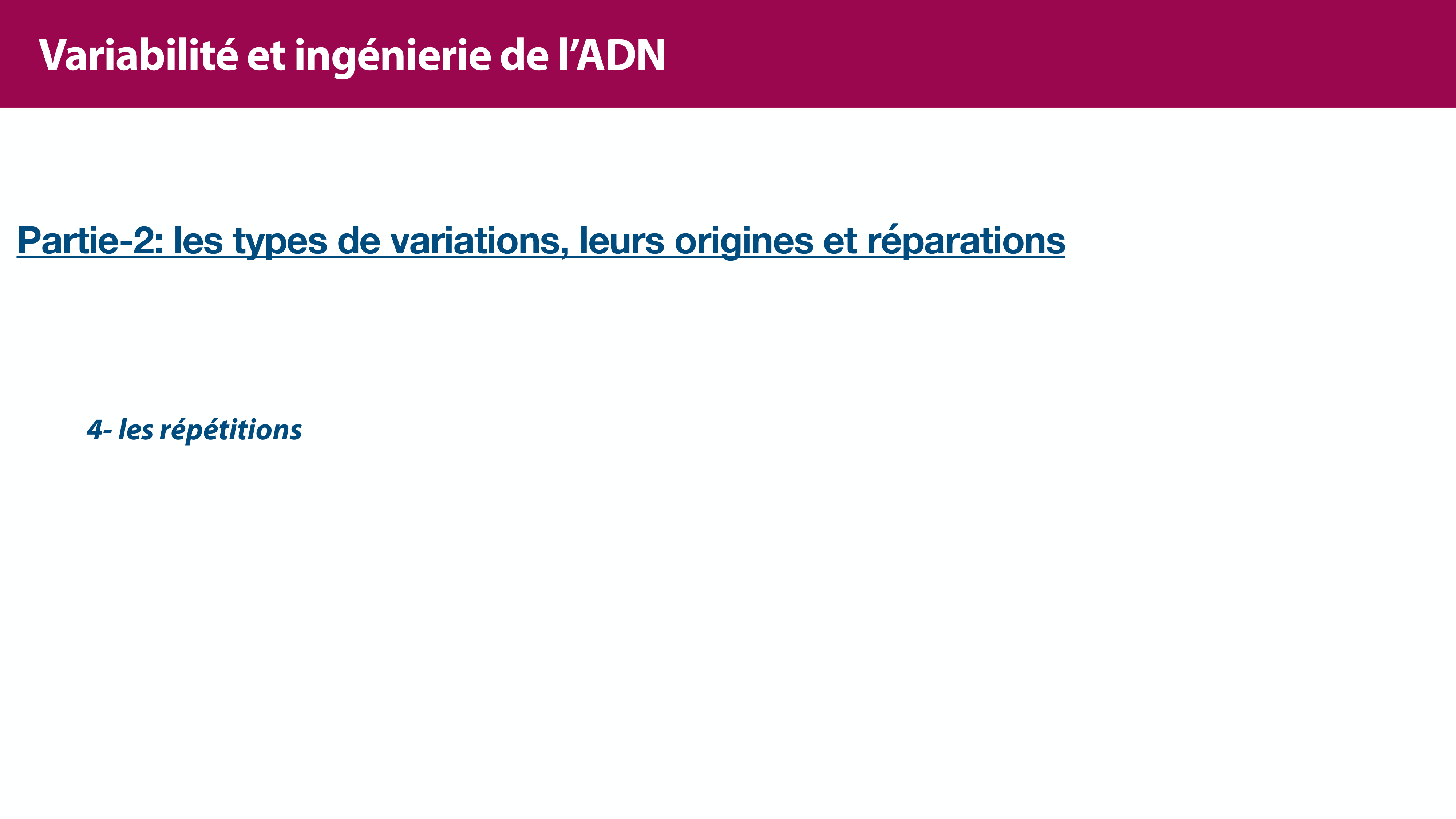 Variations de l'ADN et ingénierie génétique page 24