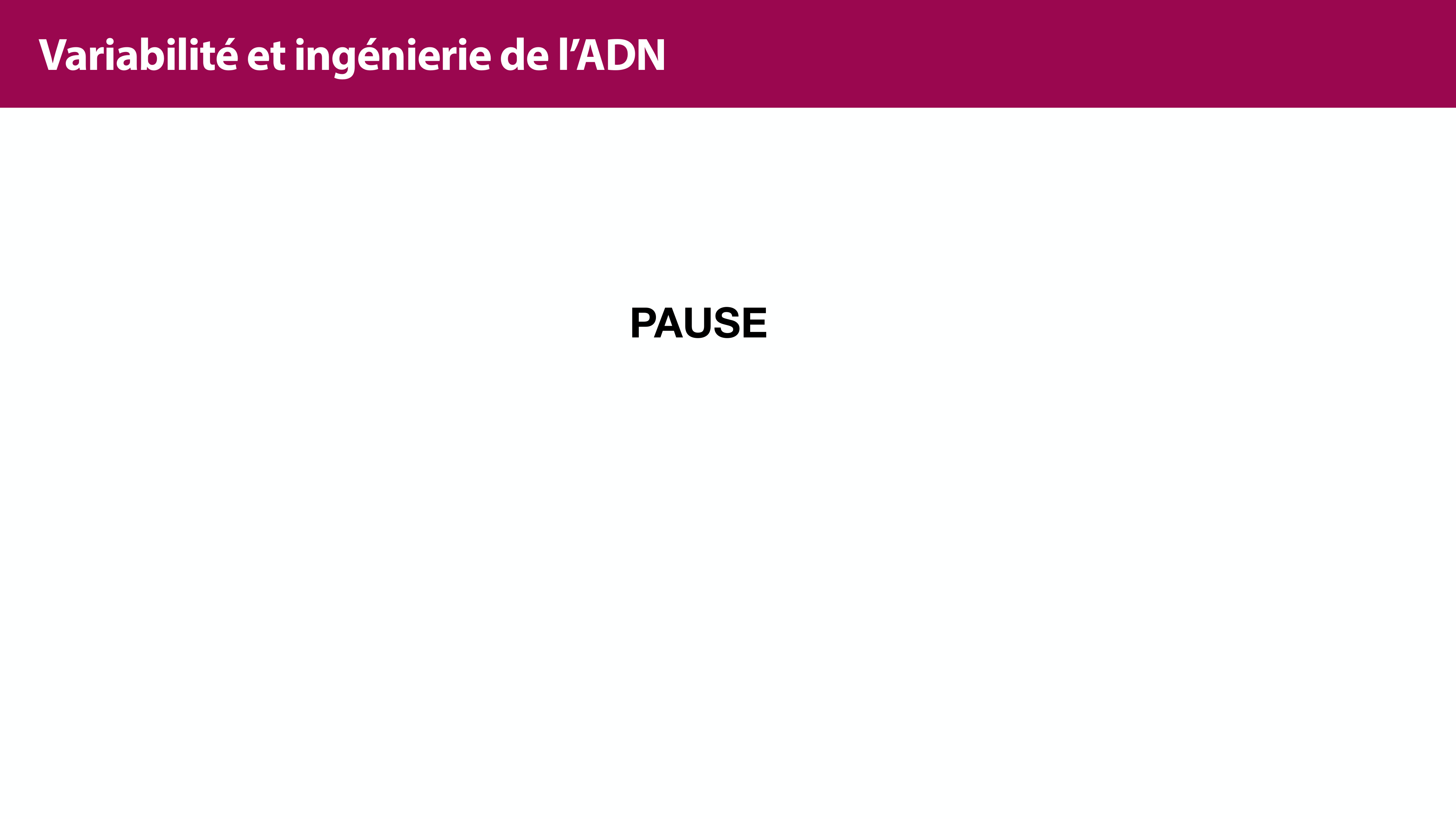Variations de l'ADN et ingénierie génétique page 27