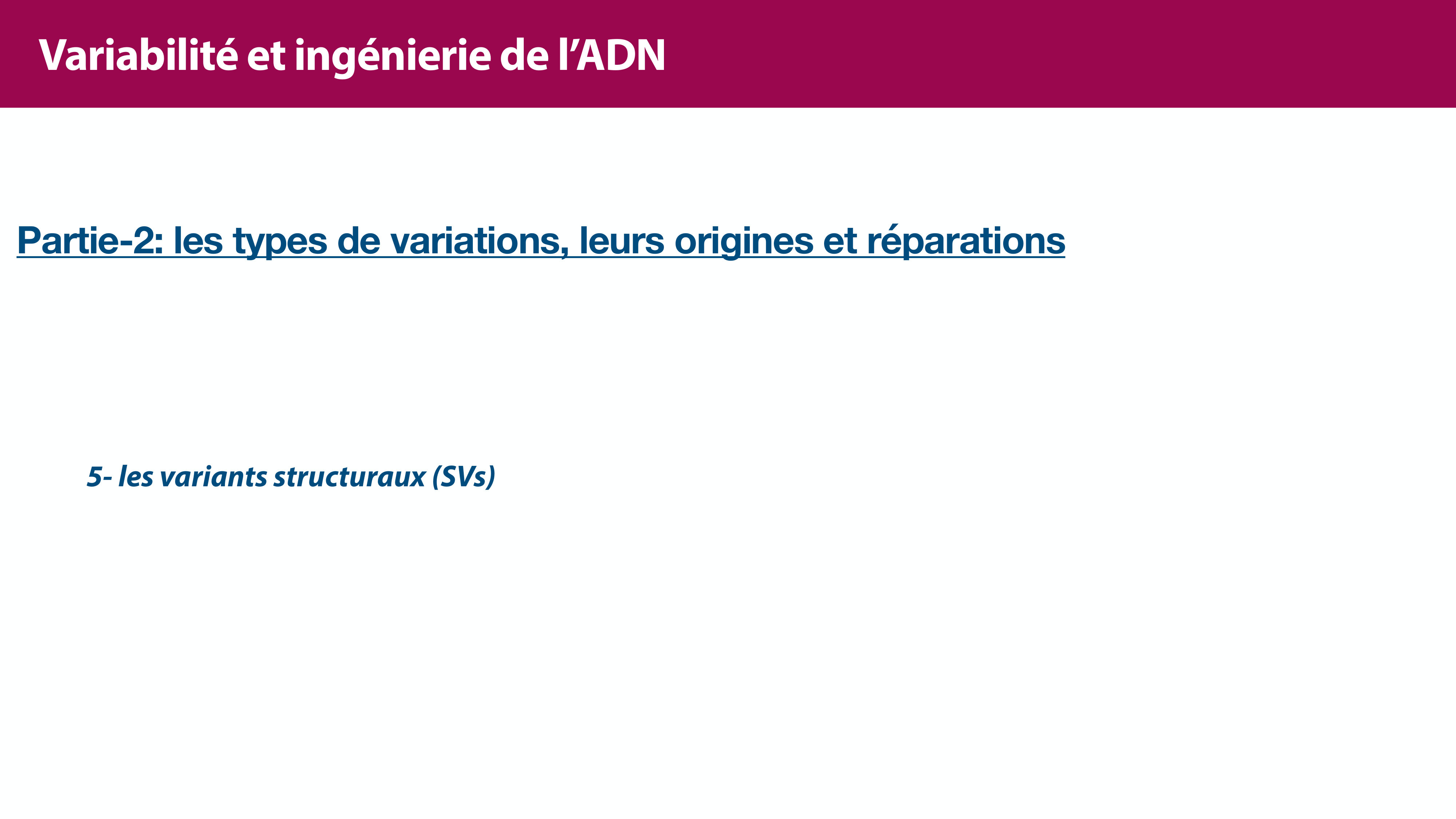 Variations de l'ADN et ingénierie génétique page 28