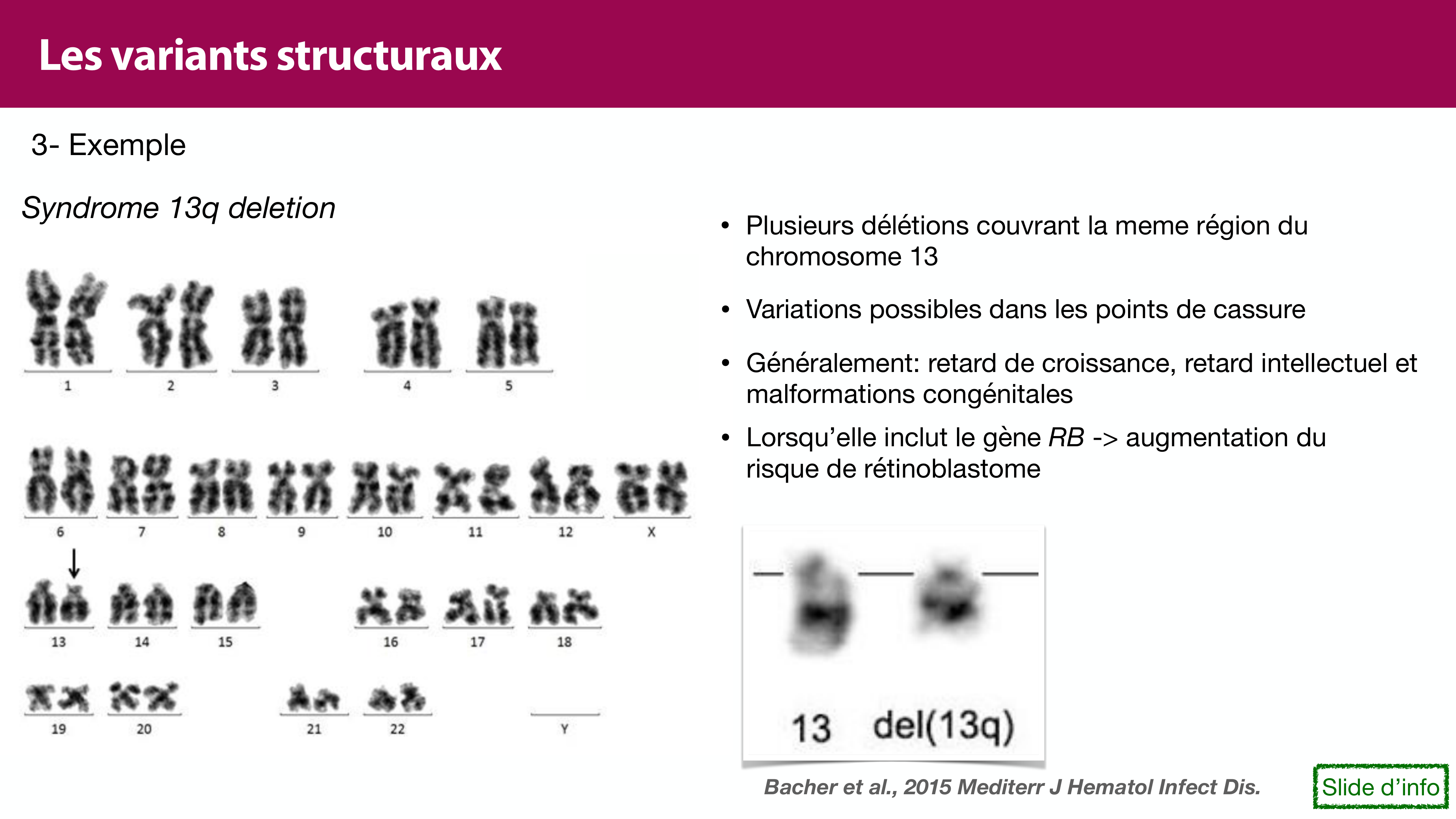 Variations de l'ADN et ingénierie génétique page 31