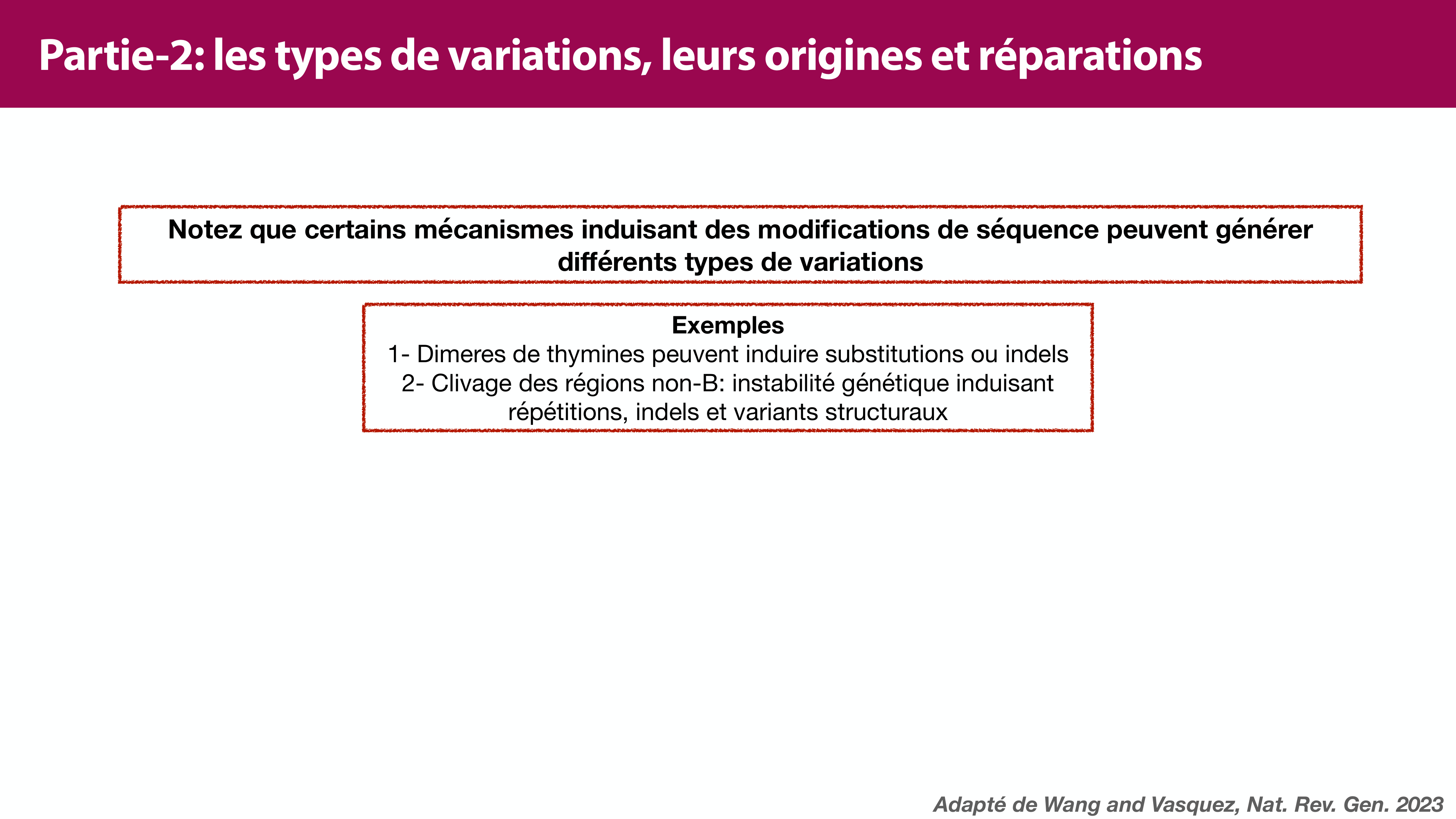 Variations de l'ADN et ingénierie génétique page 34
