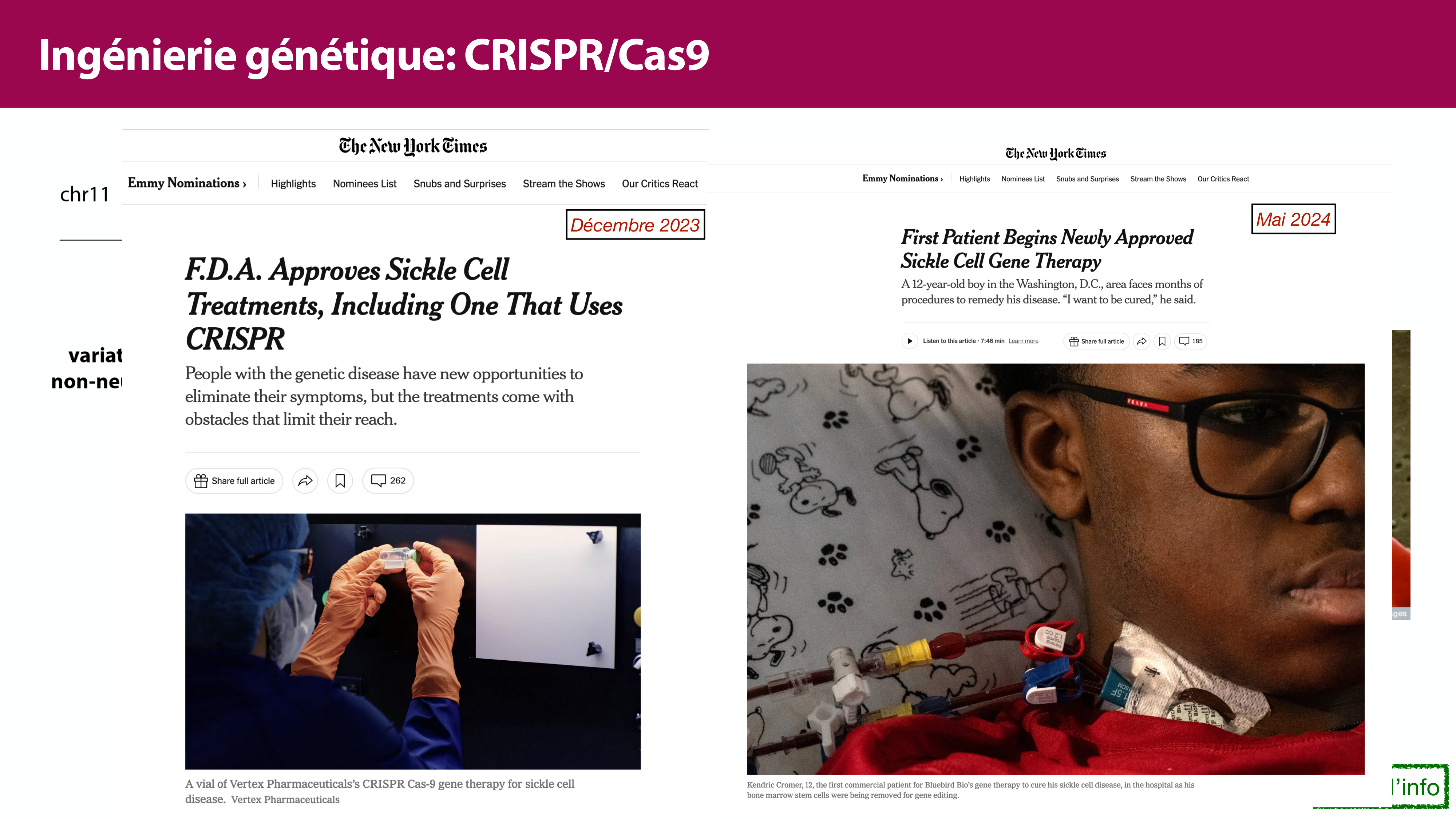 Variations de l'ADN et ingénierie génétique page 48