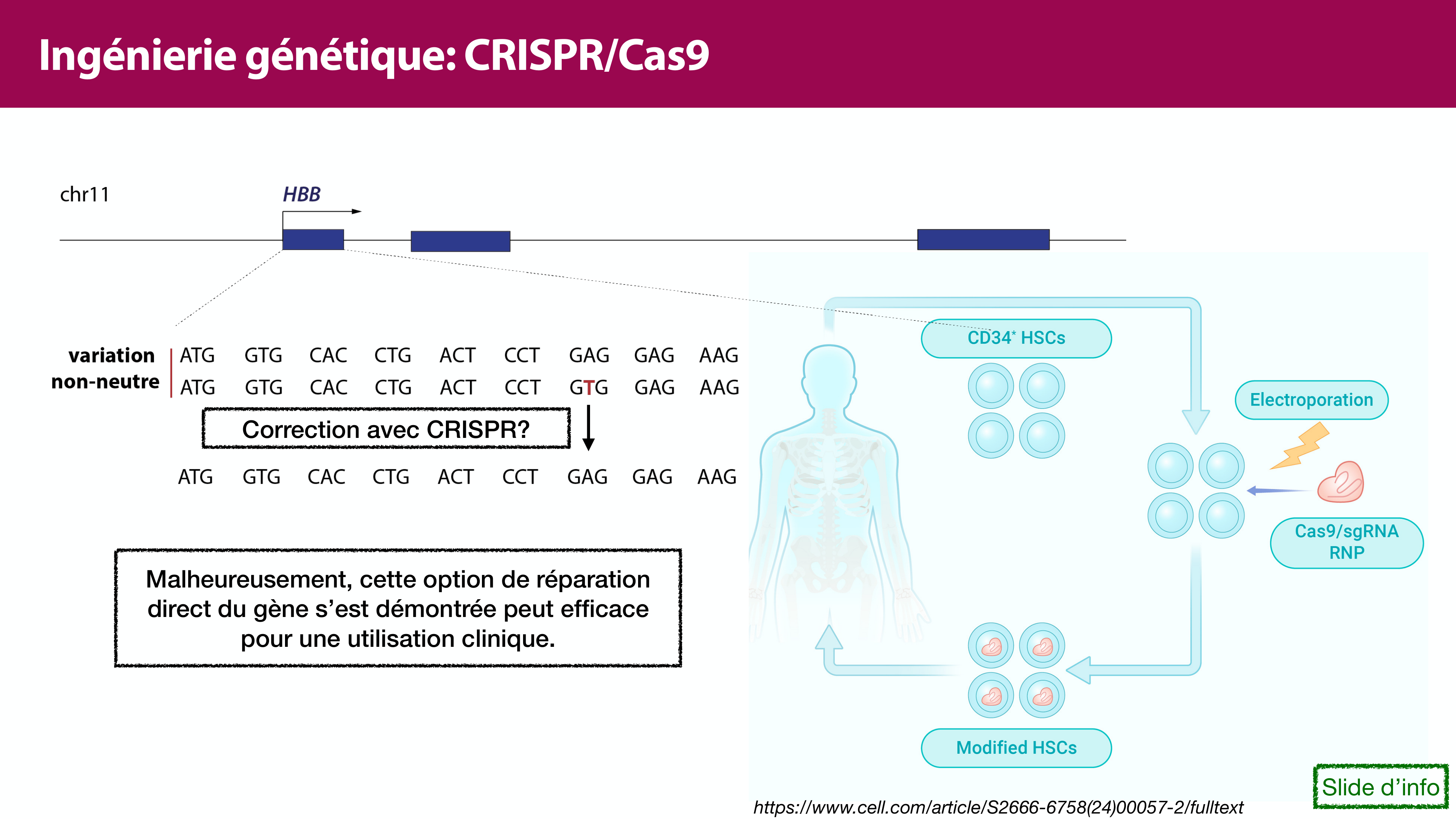 Variations de l'ADN et ingénierie génétique page 49