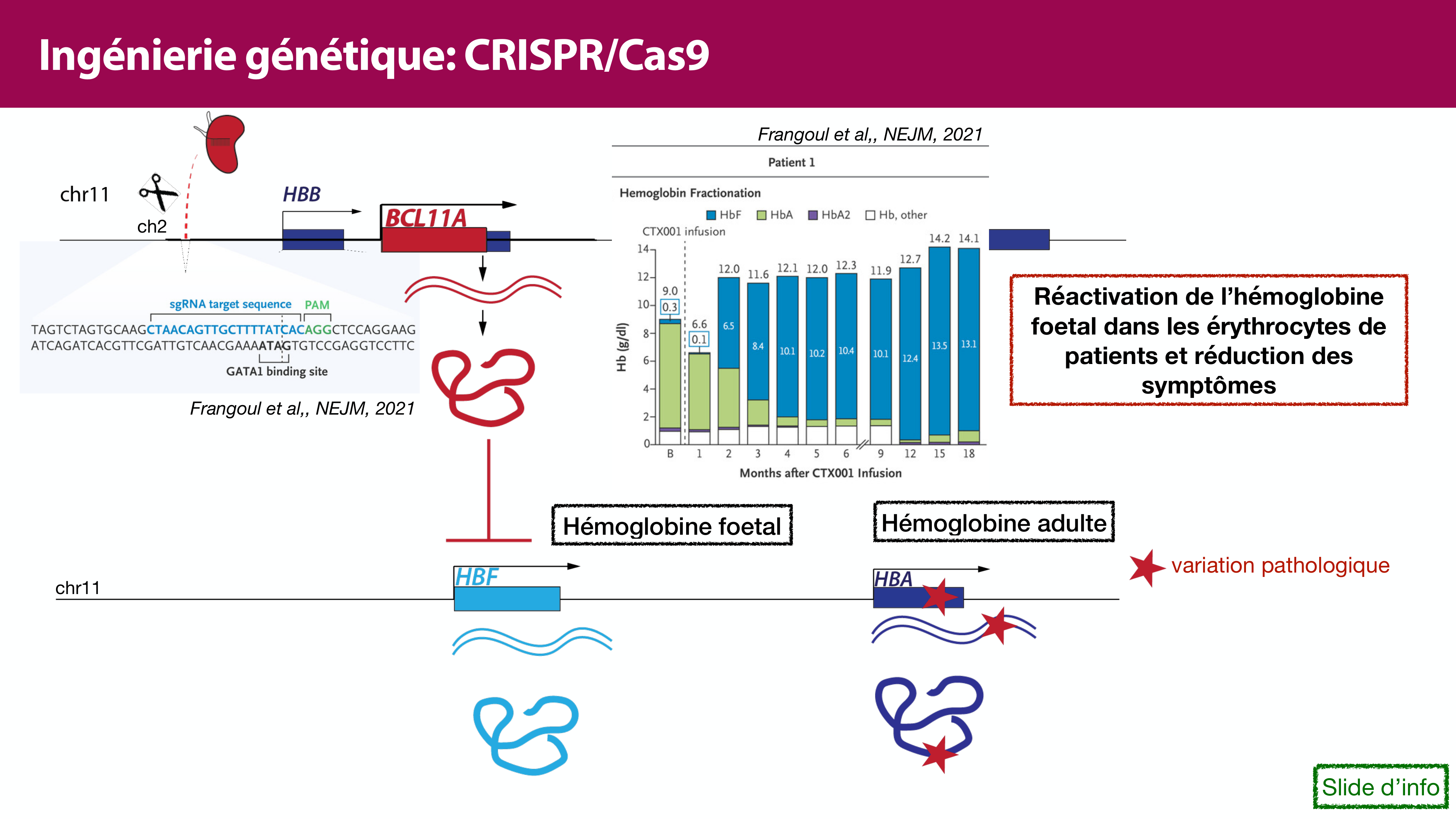 Variations de l'ADN et ingénierie génétique page 50