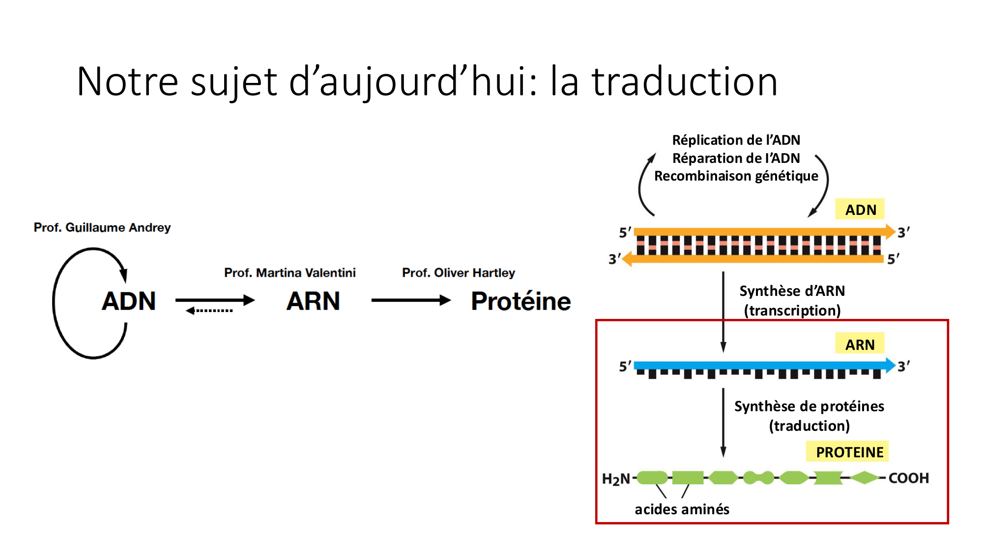 Cours 7 — Traduction page 5