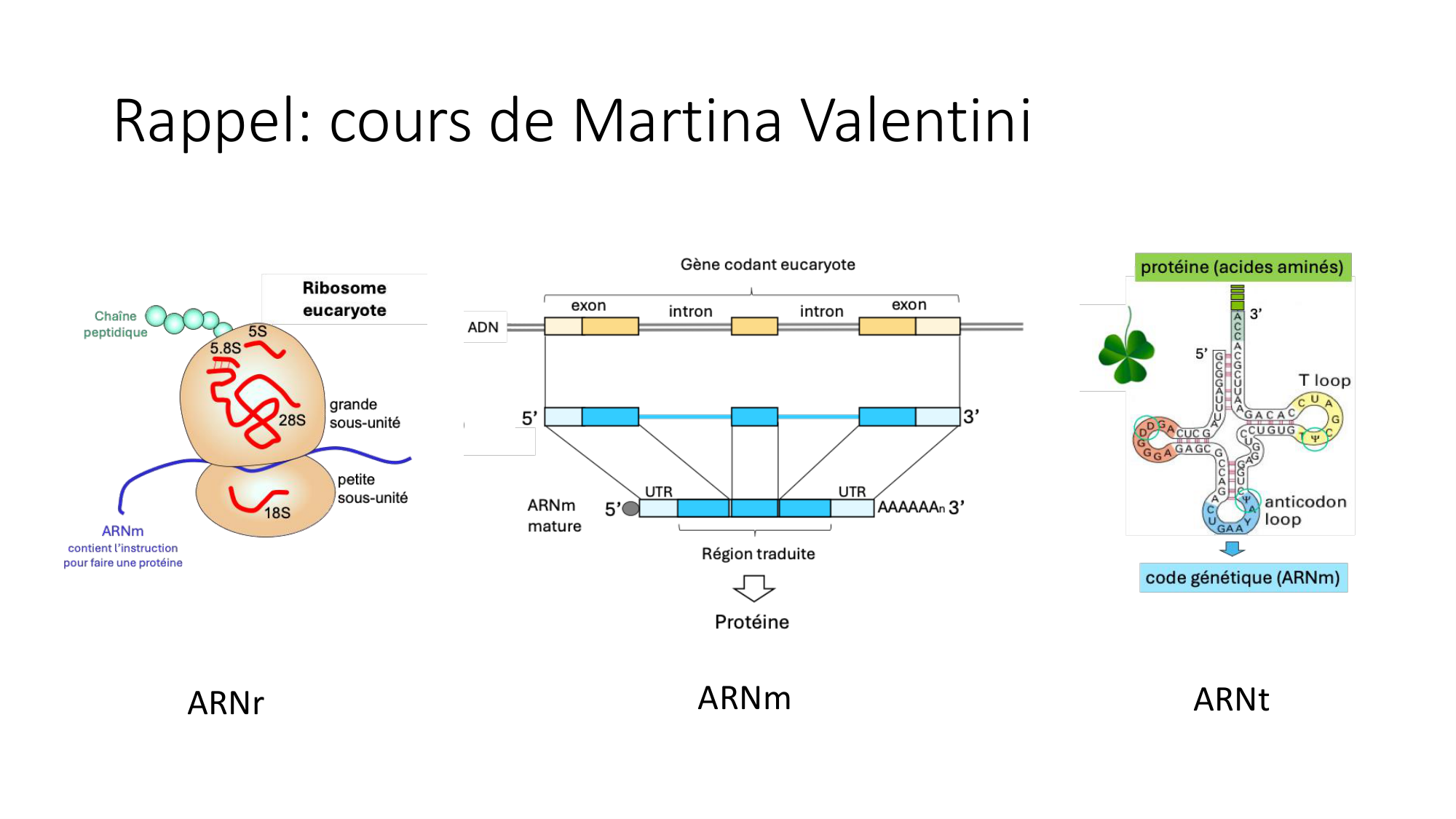 Cours 7 — Traduction page 6