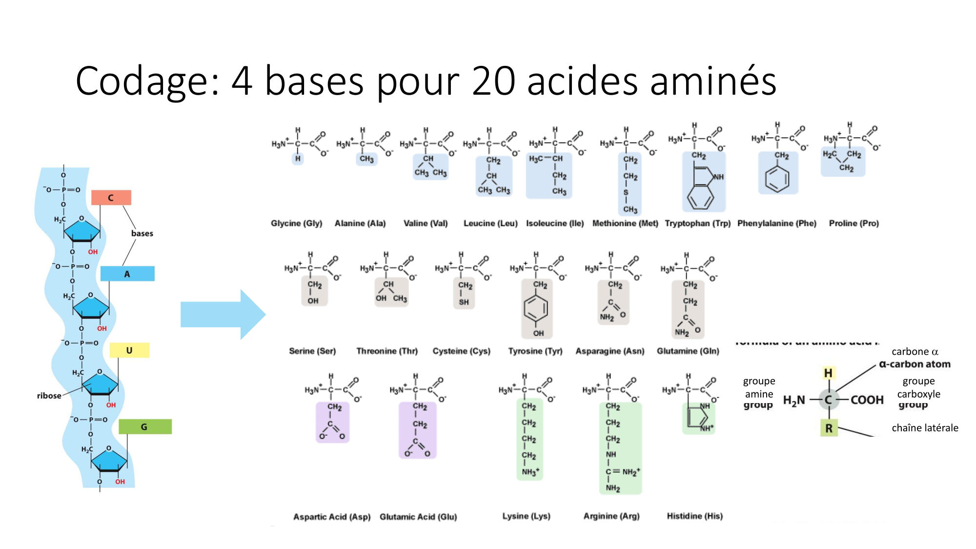 Cours 7 — Traduction page 8