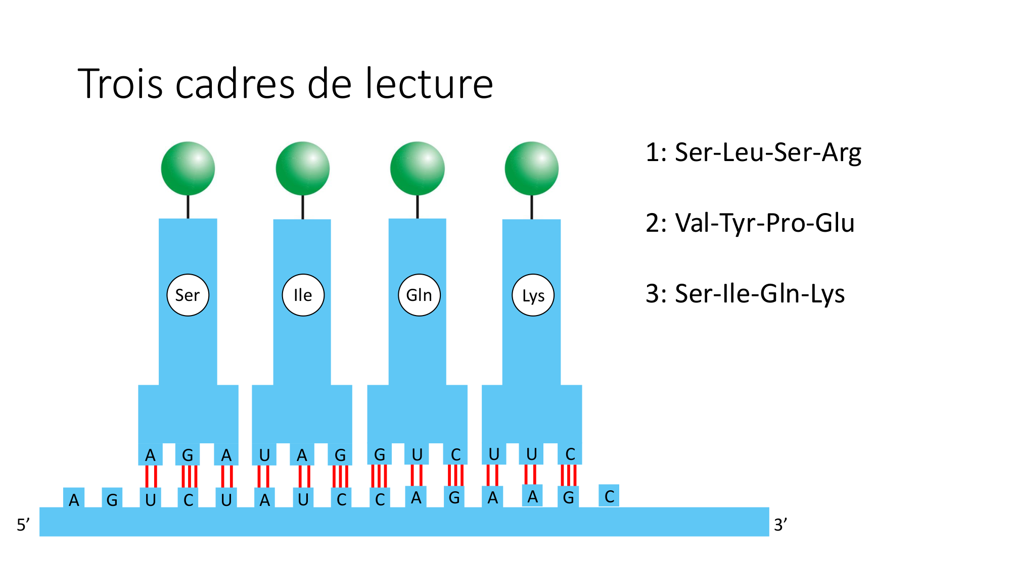 Cours 7 — Traduction page 17