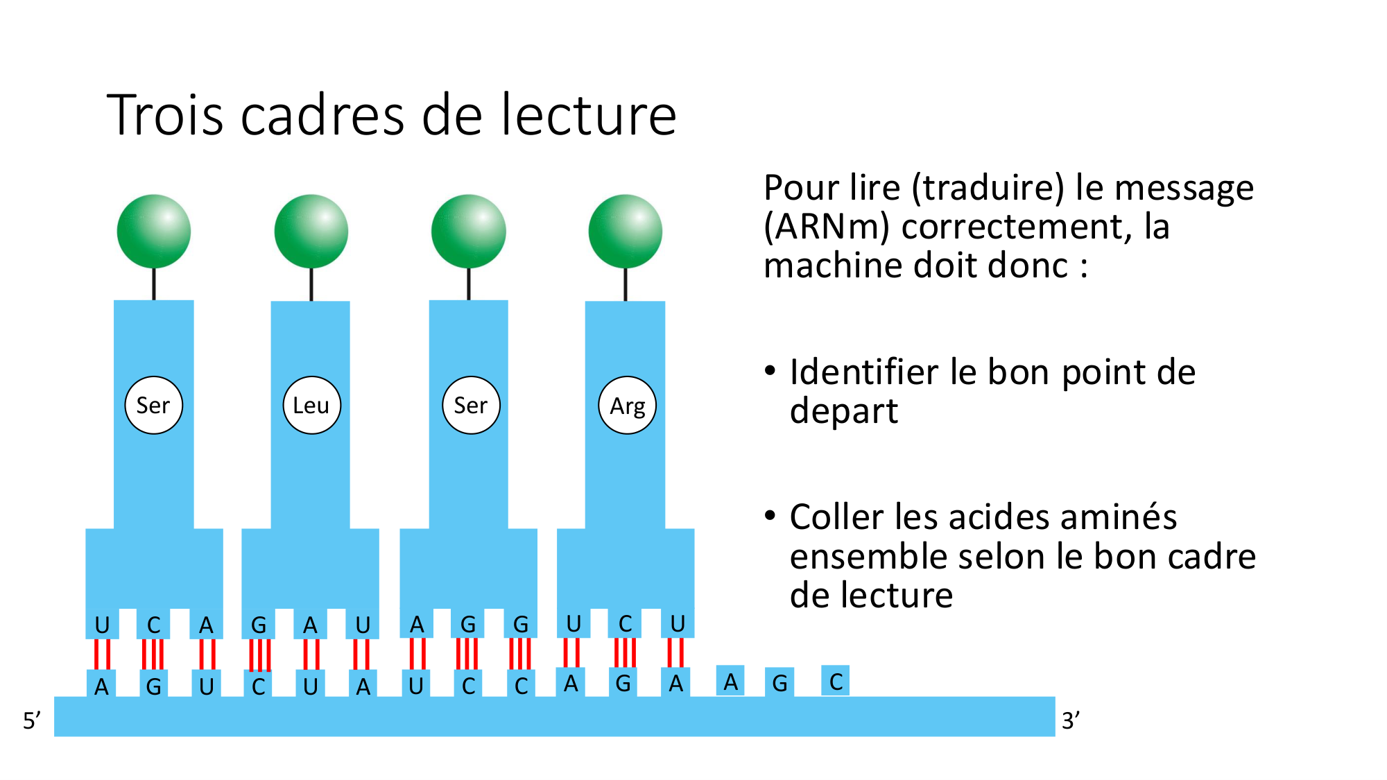 Cours 7 — Traduction page 18