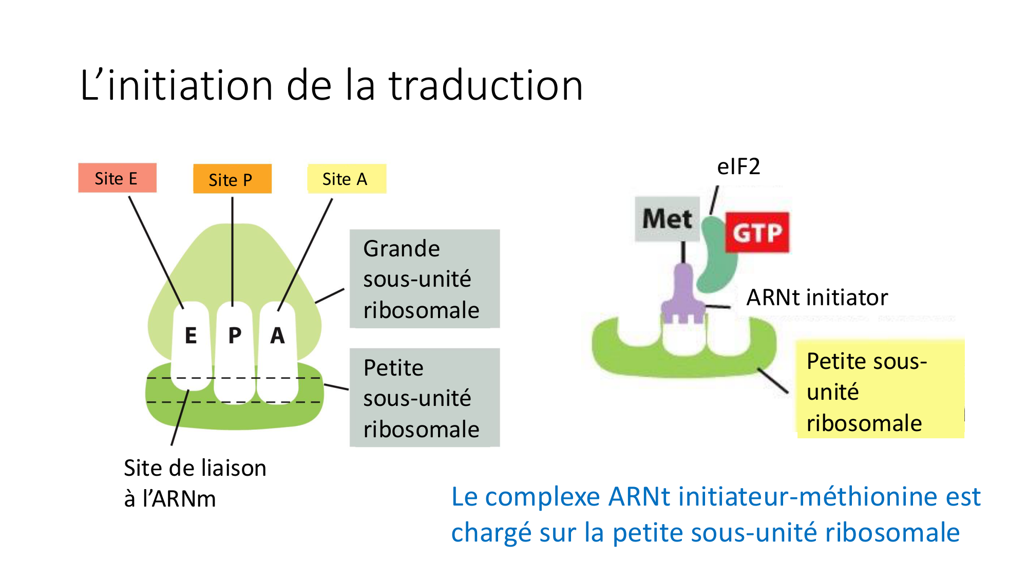 Cours 7 — Traduction page 28