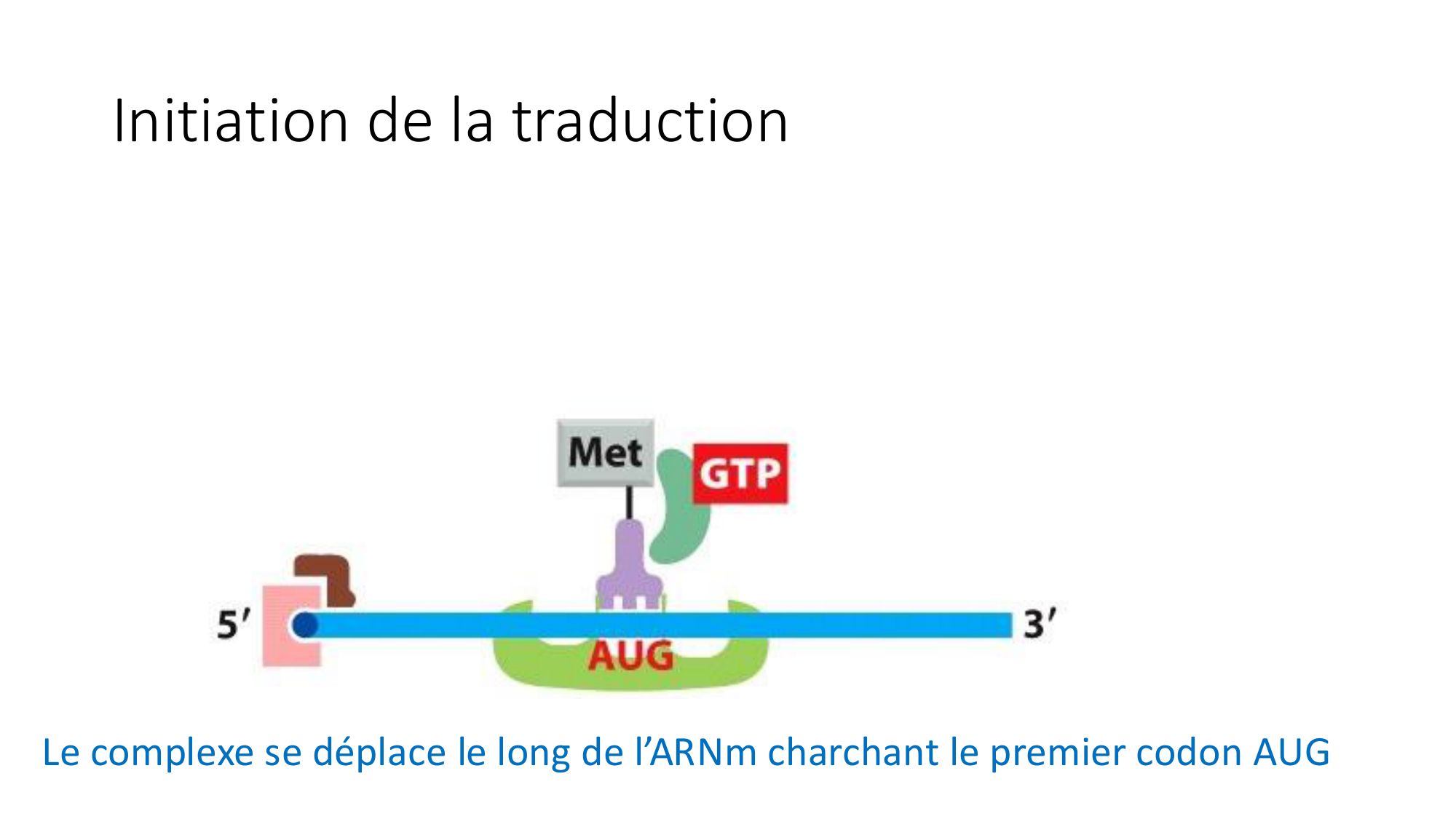 Cours 7 — Traduction page 30