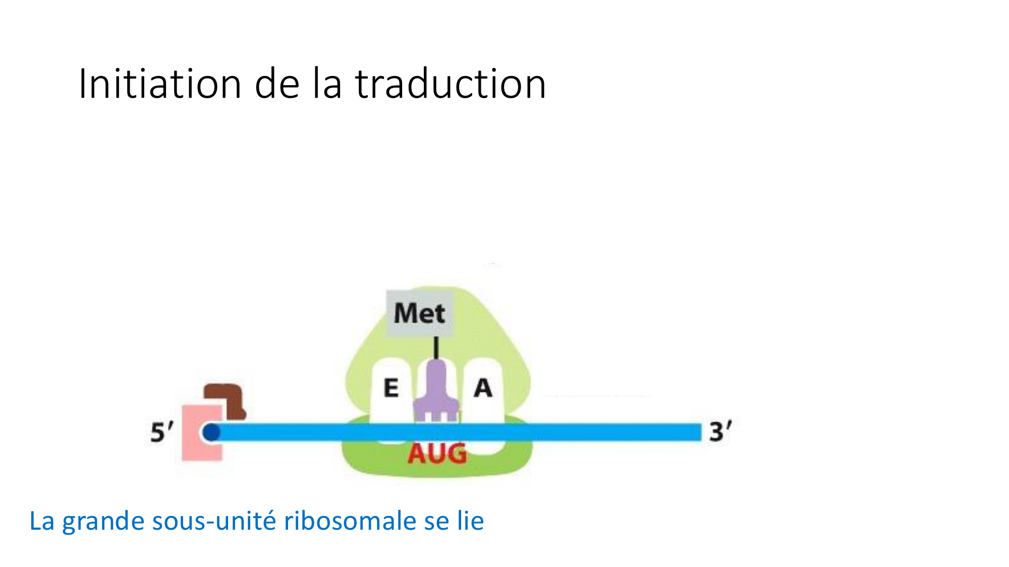 Cours 7 — Traduction page 31