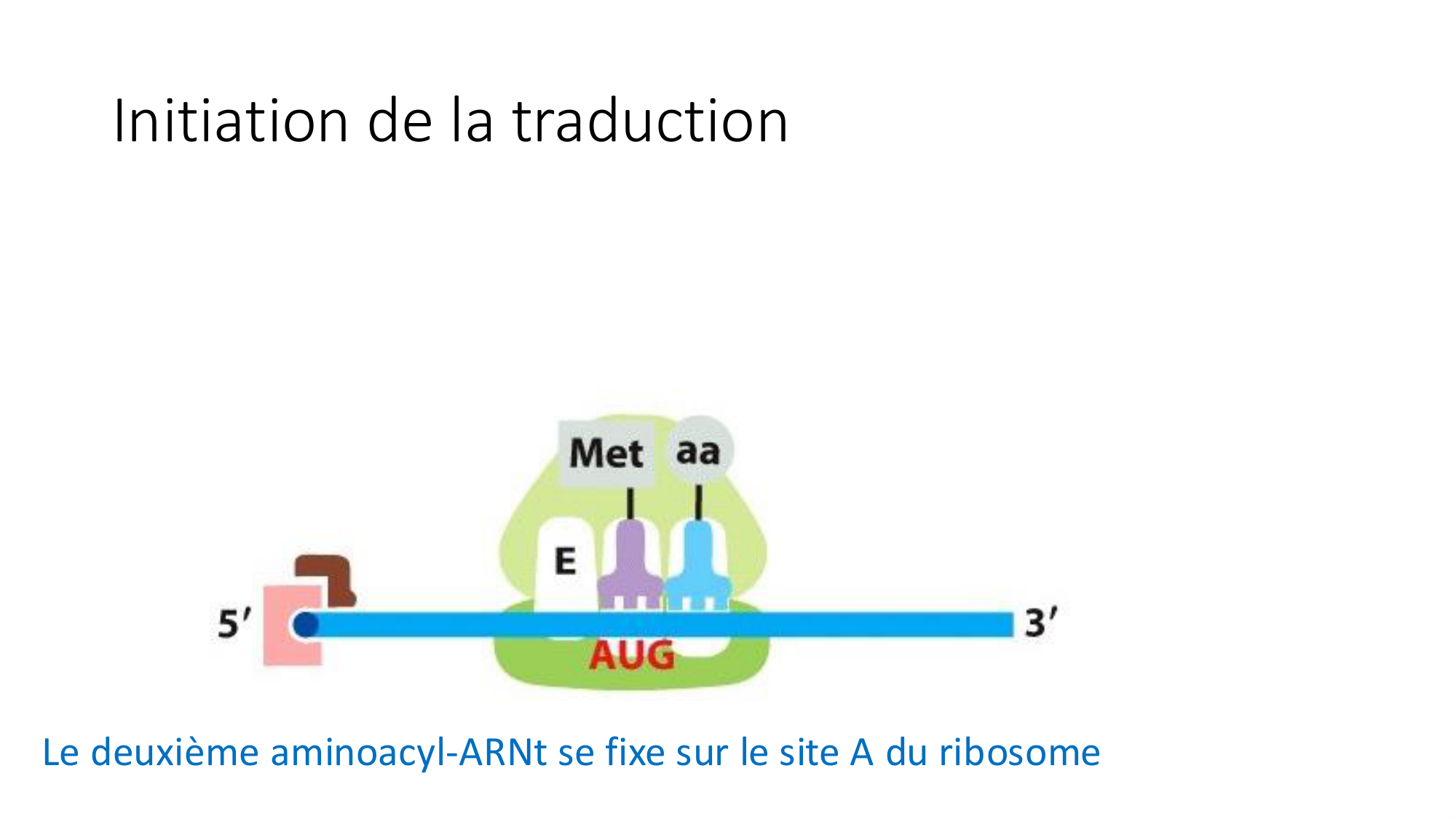Cours 7 — Traduction page 32