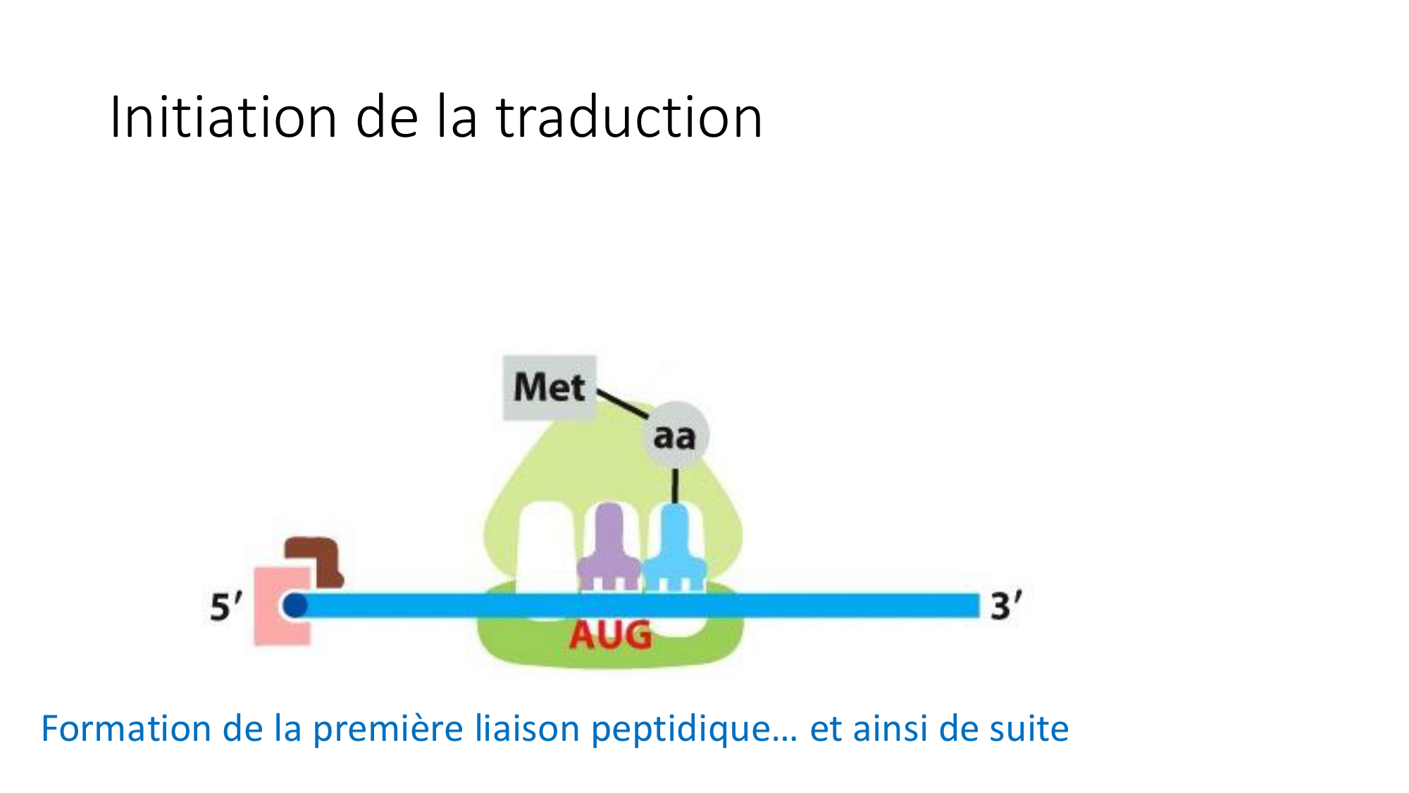 Cours 7 — Traduction page 33