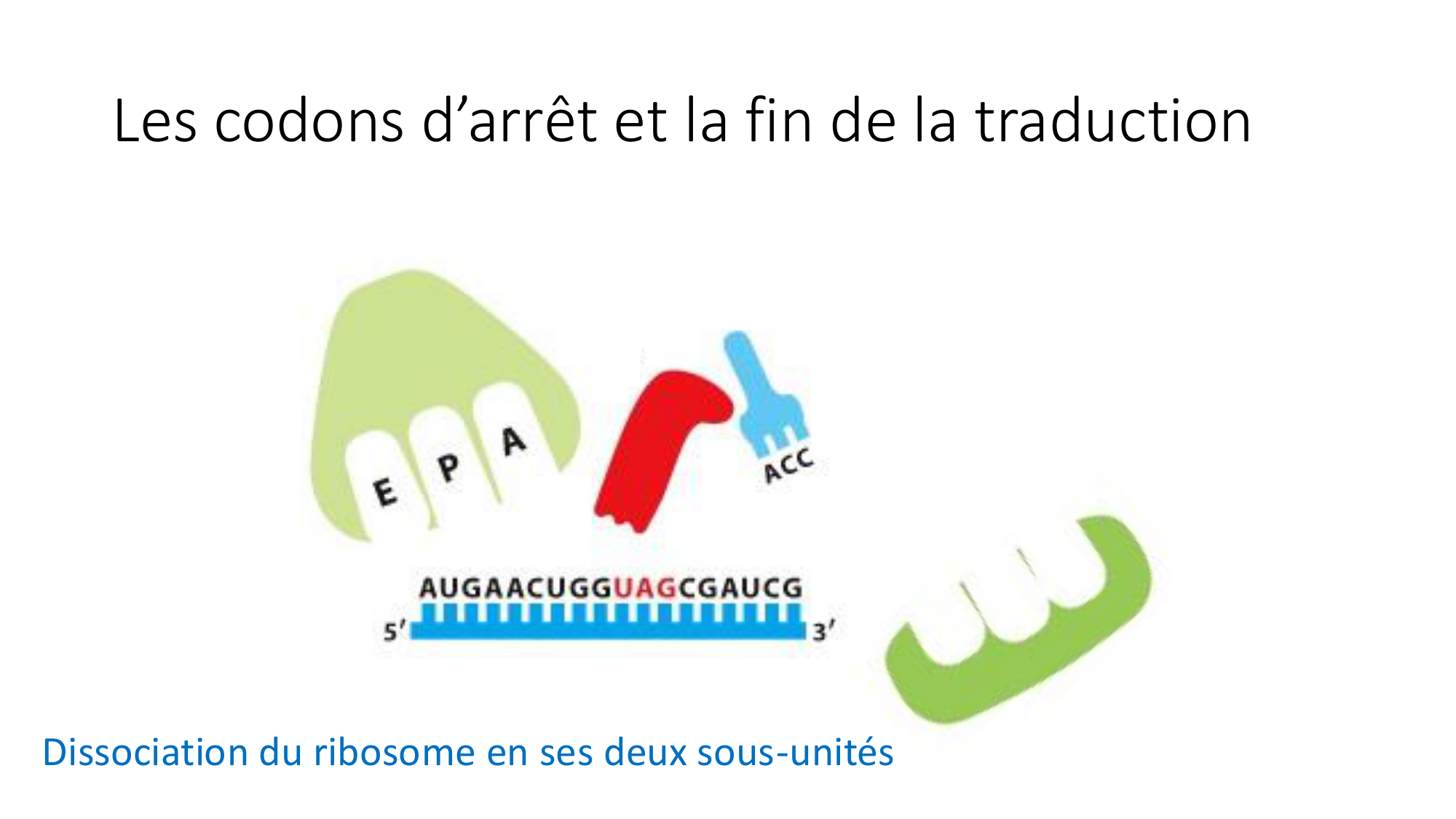 Cours 7 — Traduction page 37