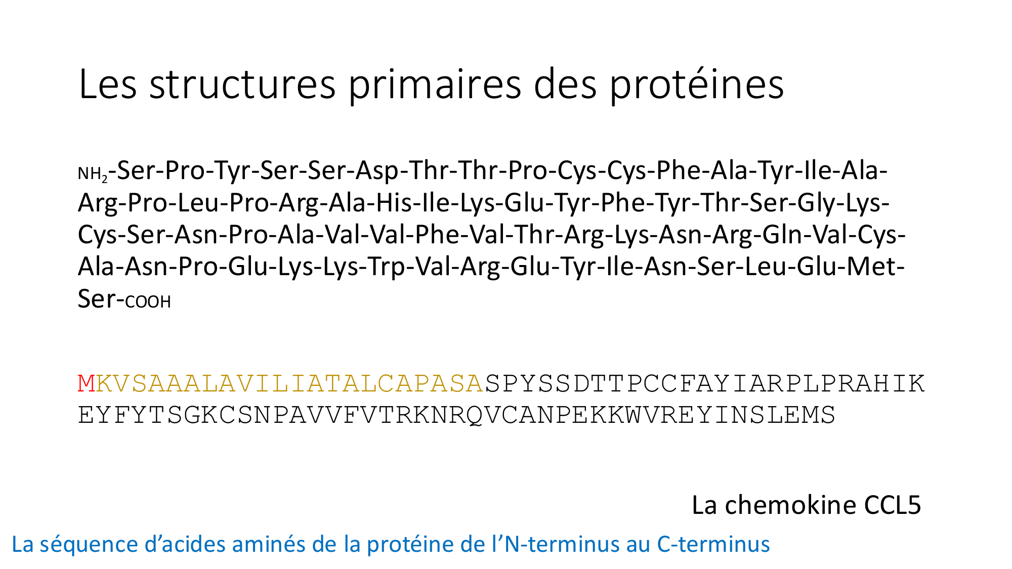 Cours 8 — Structure des protéines page 5
