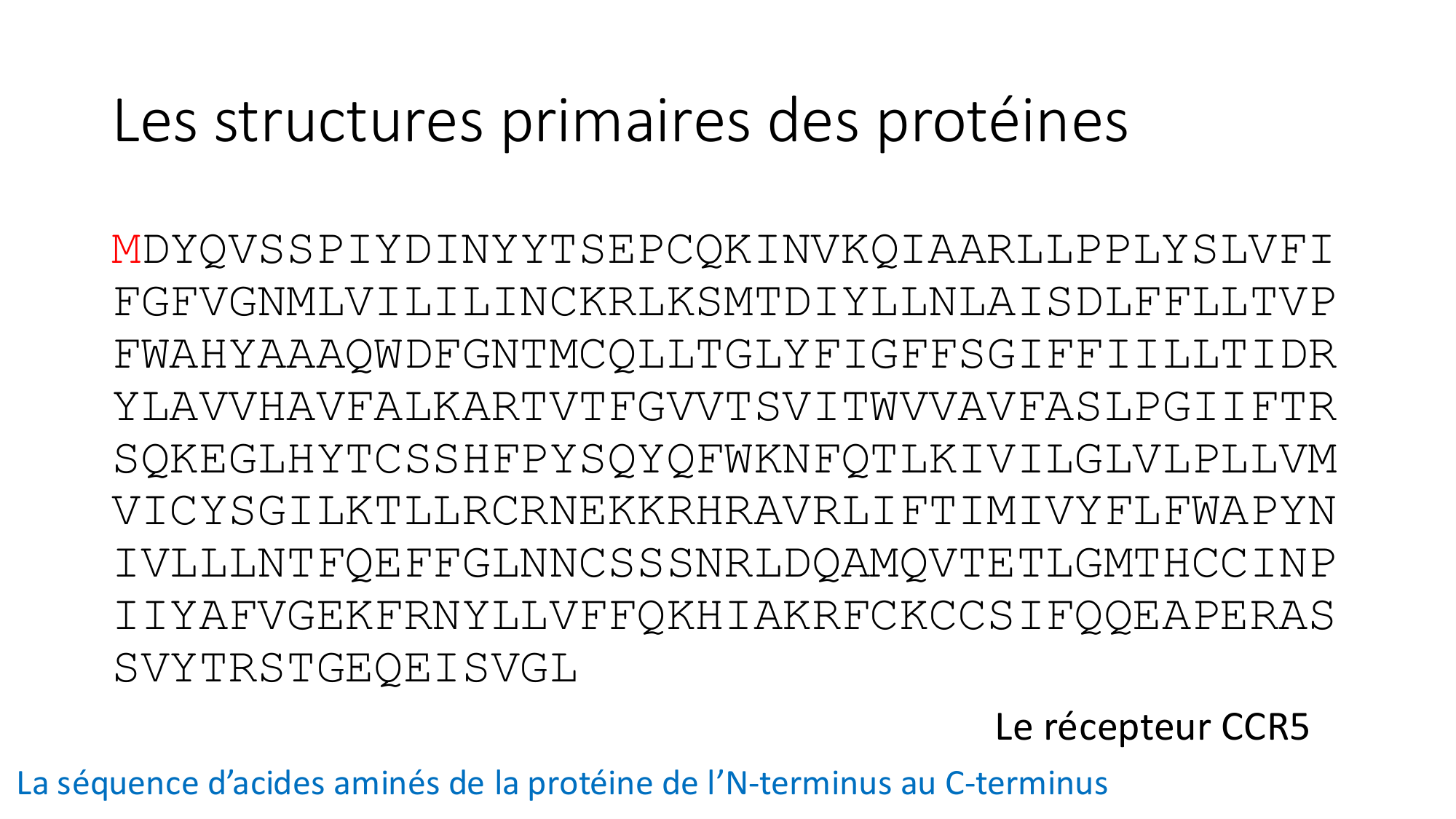 Cours 8 — Structure des protéines page 6