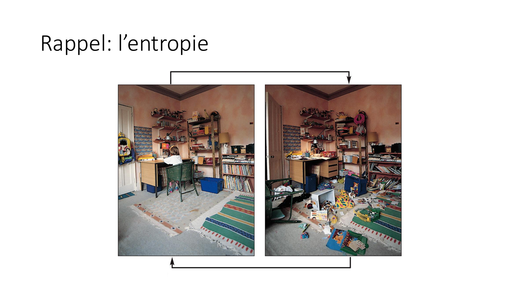 Cours 8 — Structure des protéines page 20