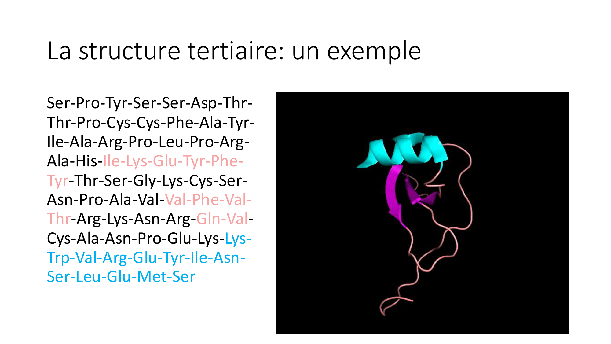 Cours 8 — Structure des protéines page 24