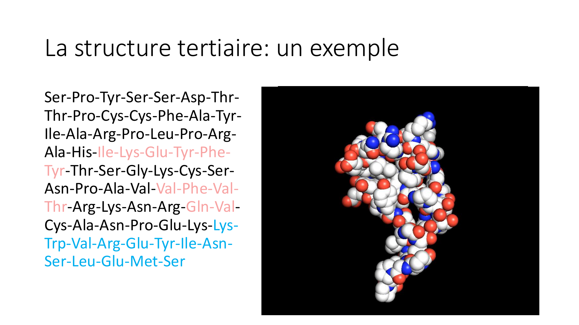 Cours 8 — Structure des protéines page 25