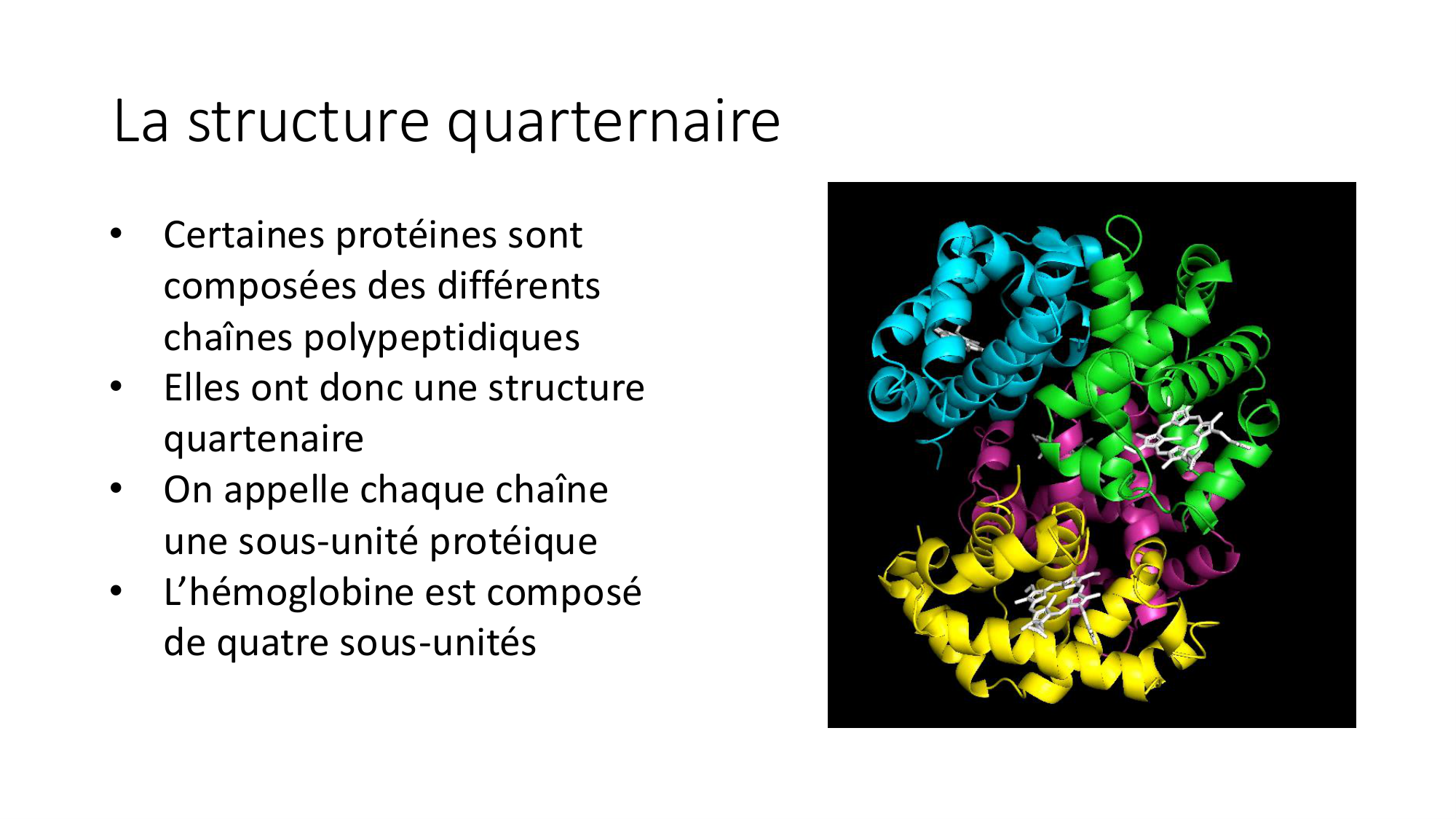 Cours 8 — Structure des protéines page 28