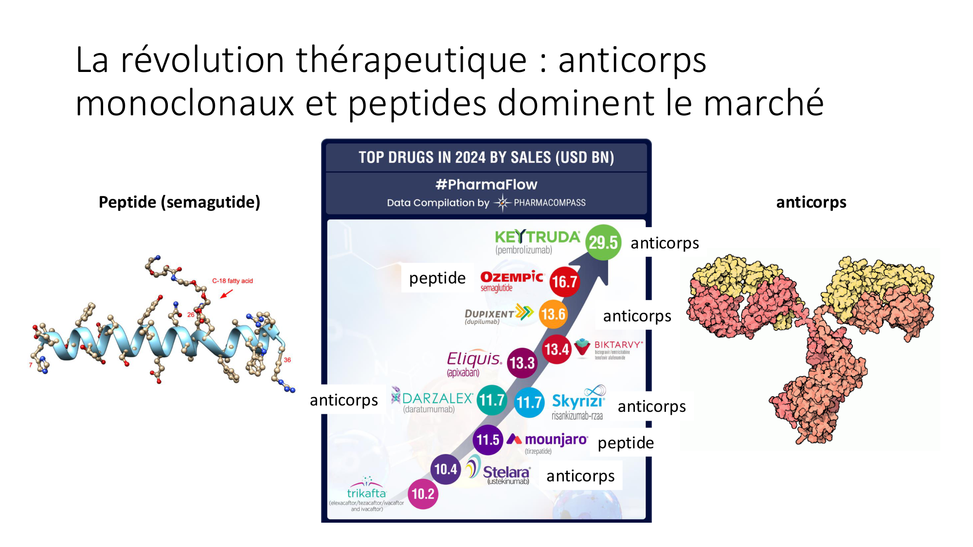 Cours 9 — Modifications et fonction des protéines page 28