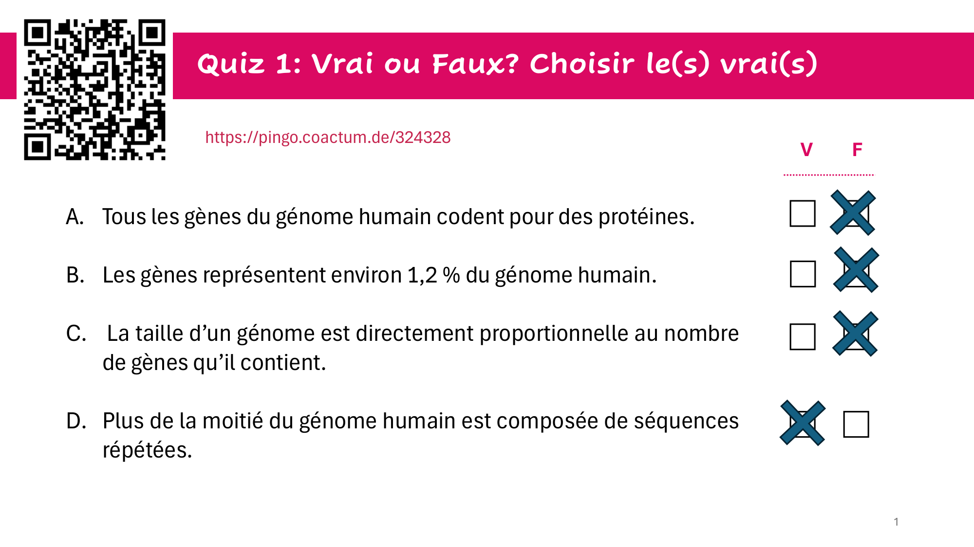 Génome et chromatine — réponses page 1