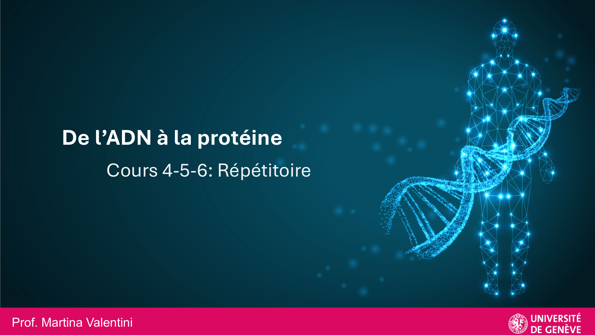 De l'ADN à la protéine — répétitoire page 1