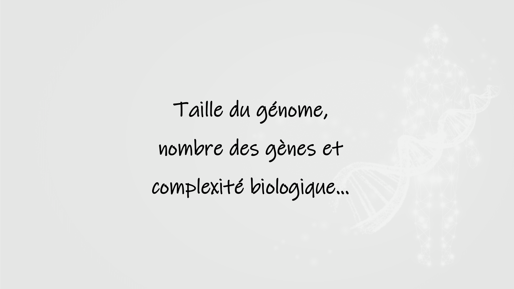 De l'ADN à la protéine — répétitoire page 13