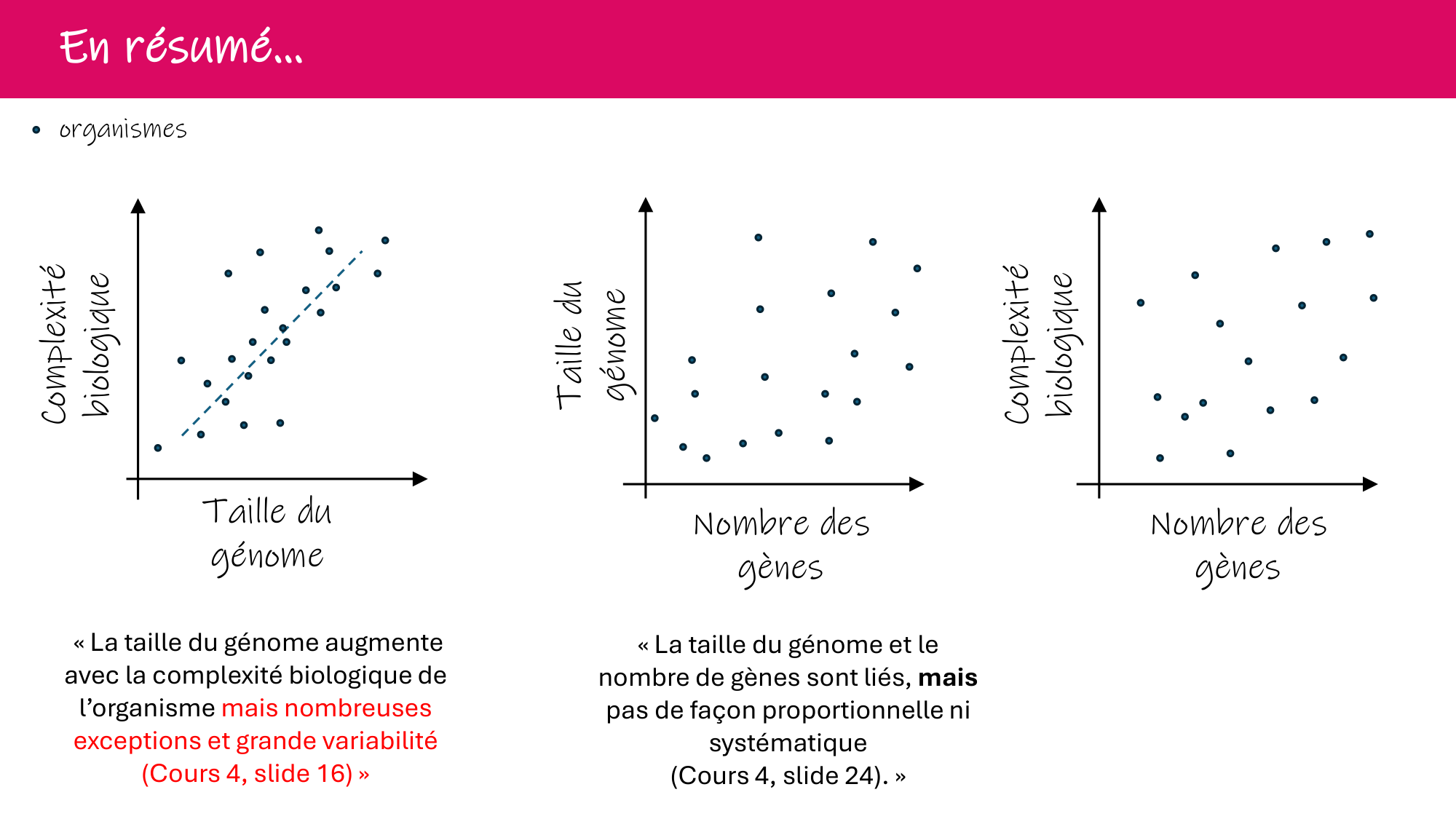 De l'ADN à la protéine — répétitoire page 14