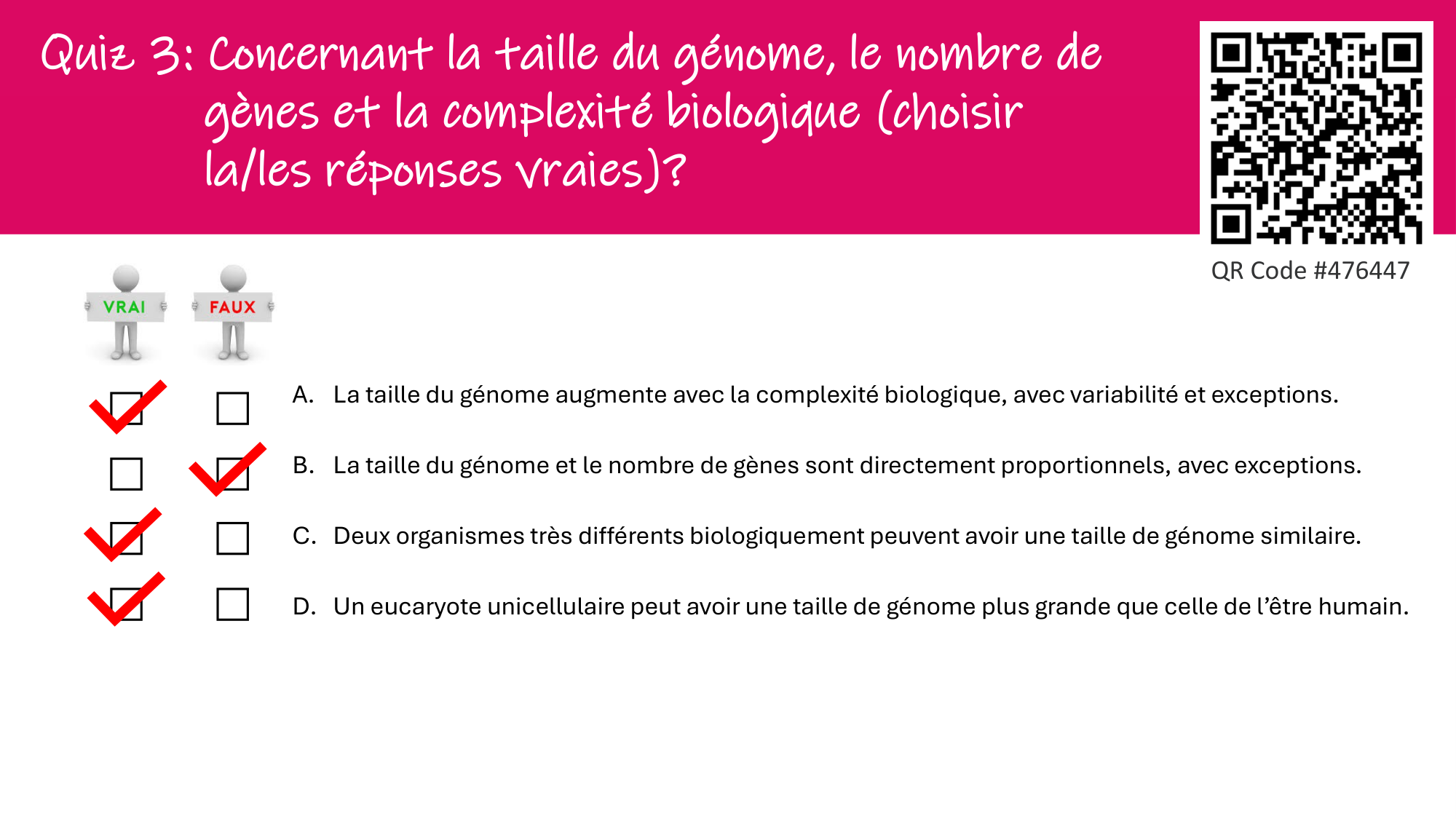 De l'ADN à la protéine — répétitoire page 15