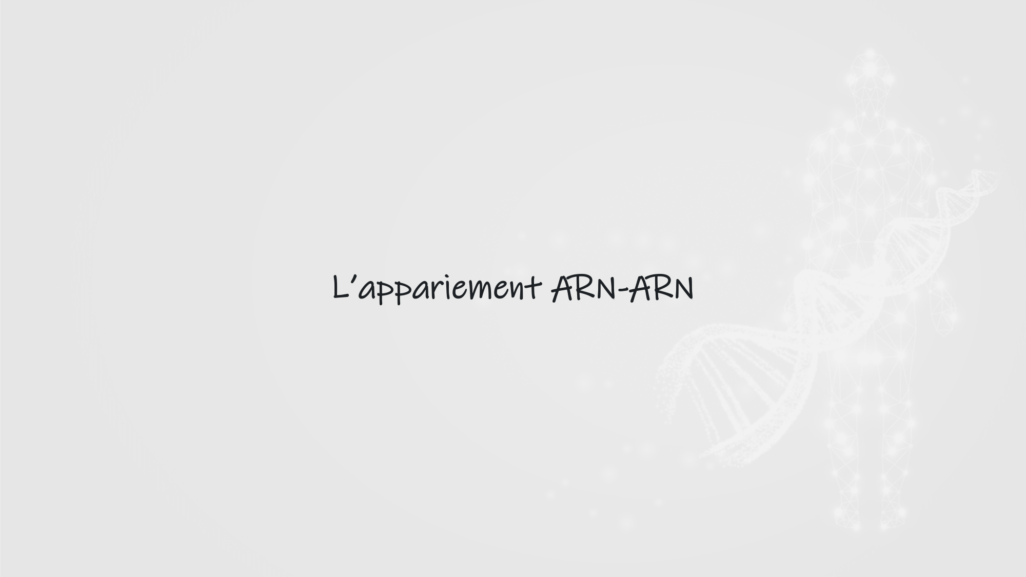 De l'ADN à la protéine — répétitoire page 16