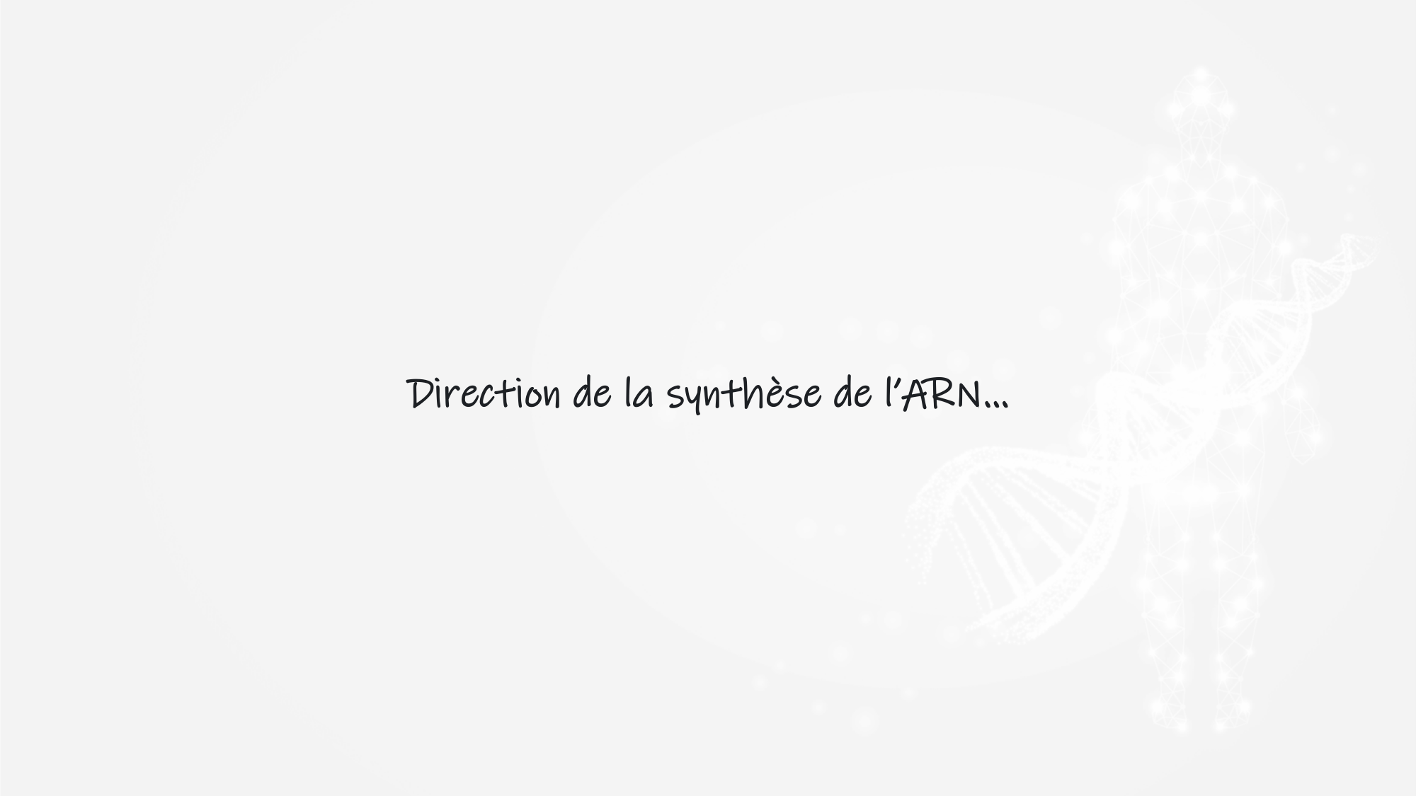 De l'ADN à la protéine — répétitoire page 19