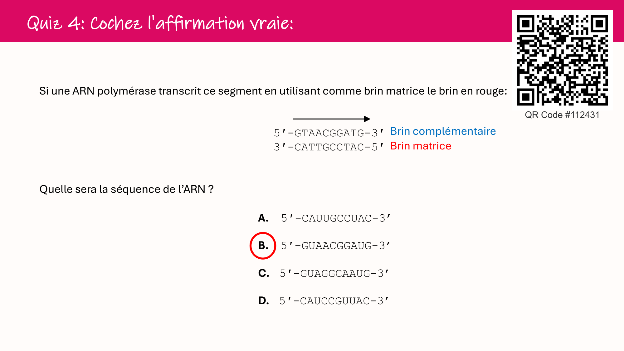 De l'ADN à la protéine — répétitoire page 21