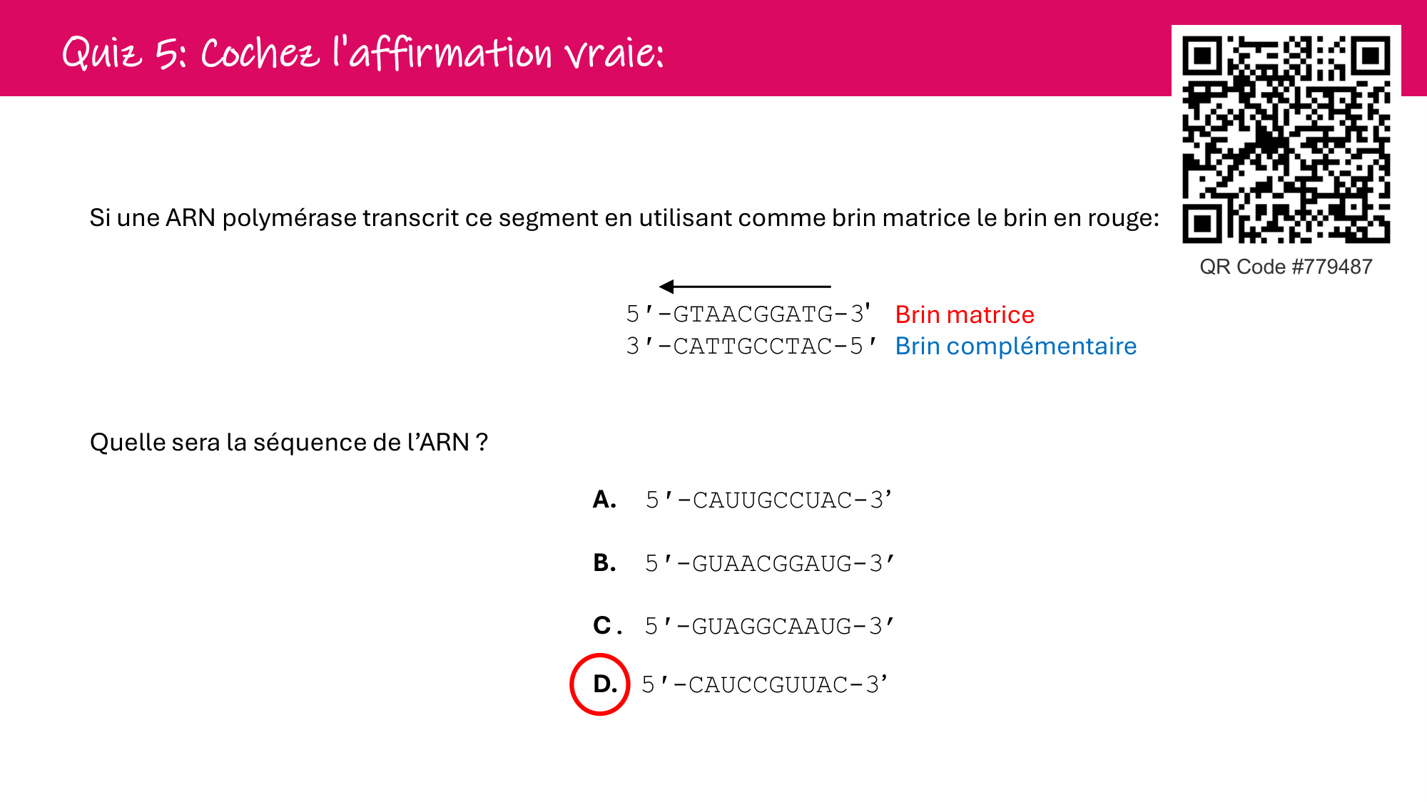 De l'ADN à la protéine — répétitoire page 22