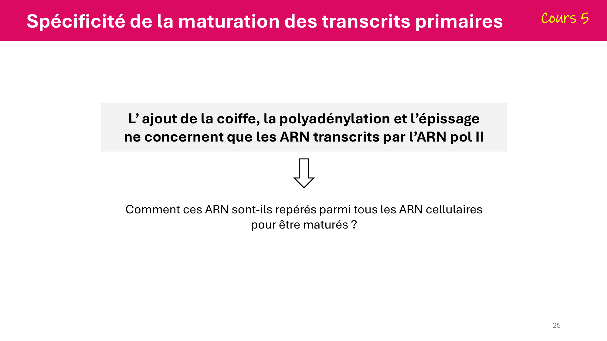 De l'ADN à la protéine — répétitoire page 25