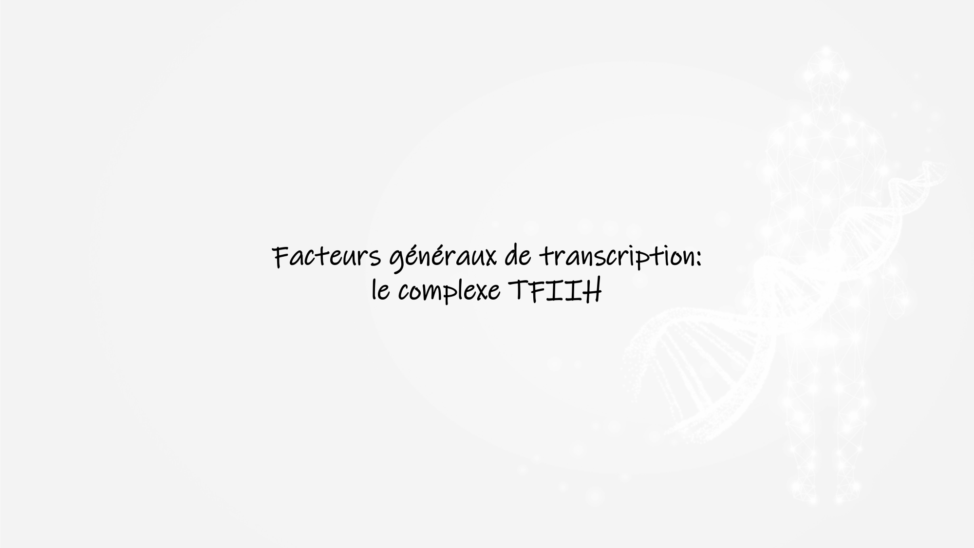 De l'ADN à la protéine — répétitoire page 27